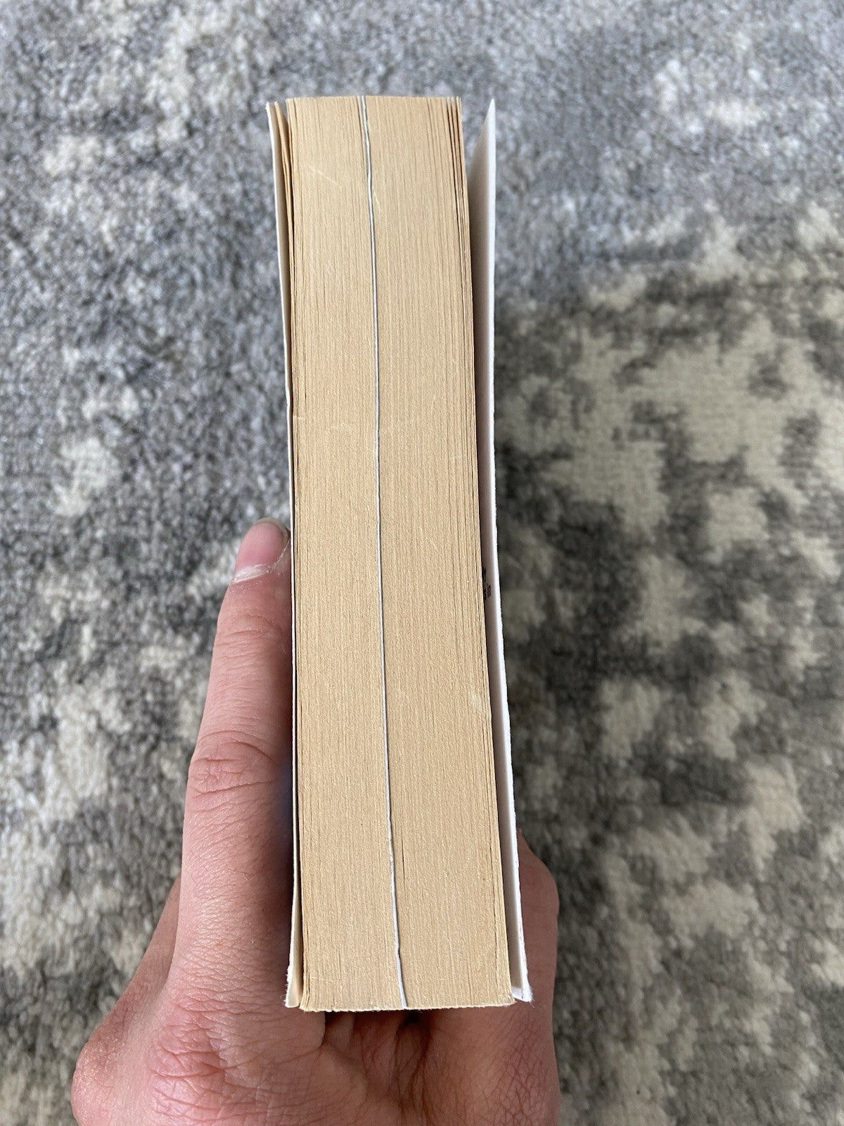 World of Warcraft: Arthas: Rise of the Lich Kin by Christie Golden Paperback