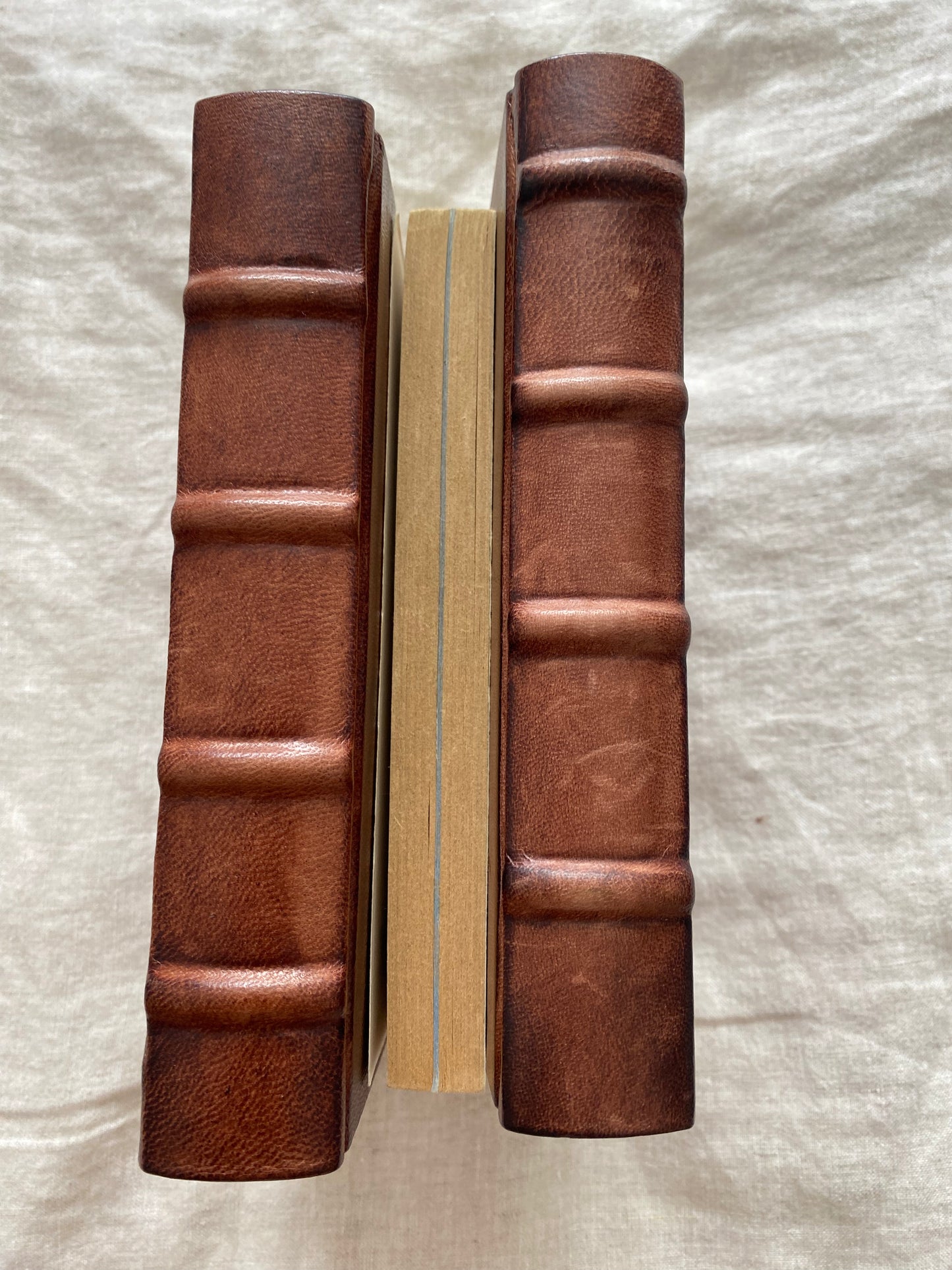 Star Wars: From the Adventures of Luke Skywalker