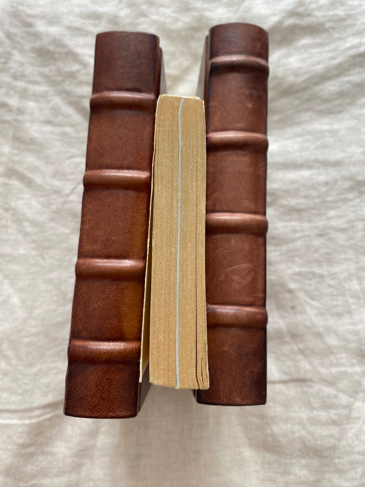 Star Wars: From the Adventures of Luke Skywalker