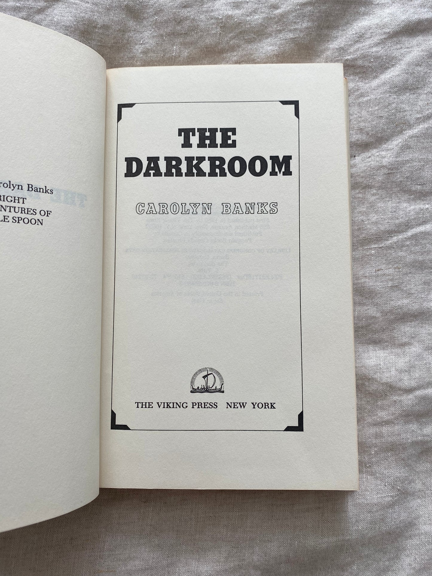 The Dark Room