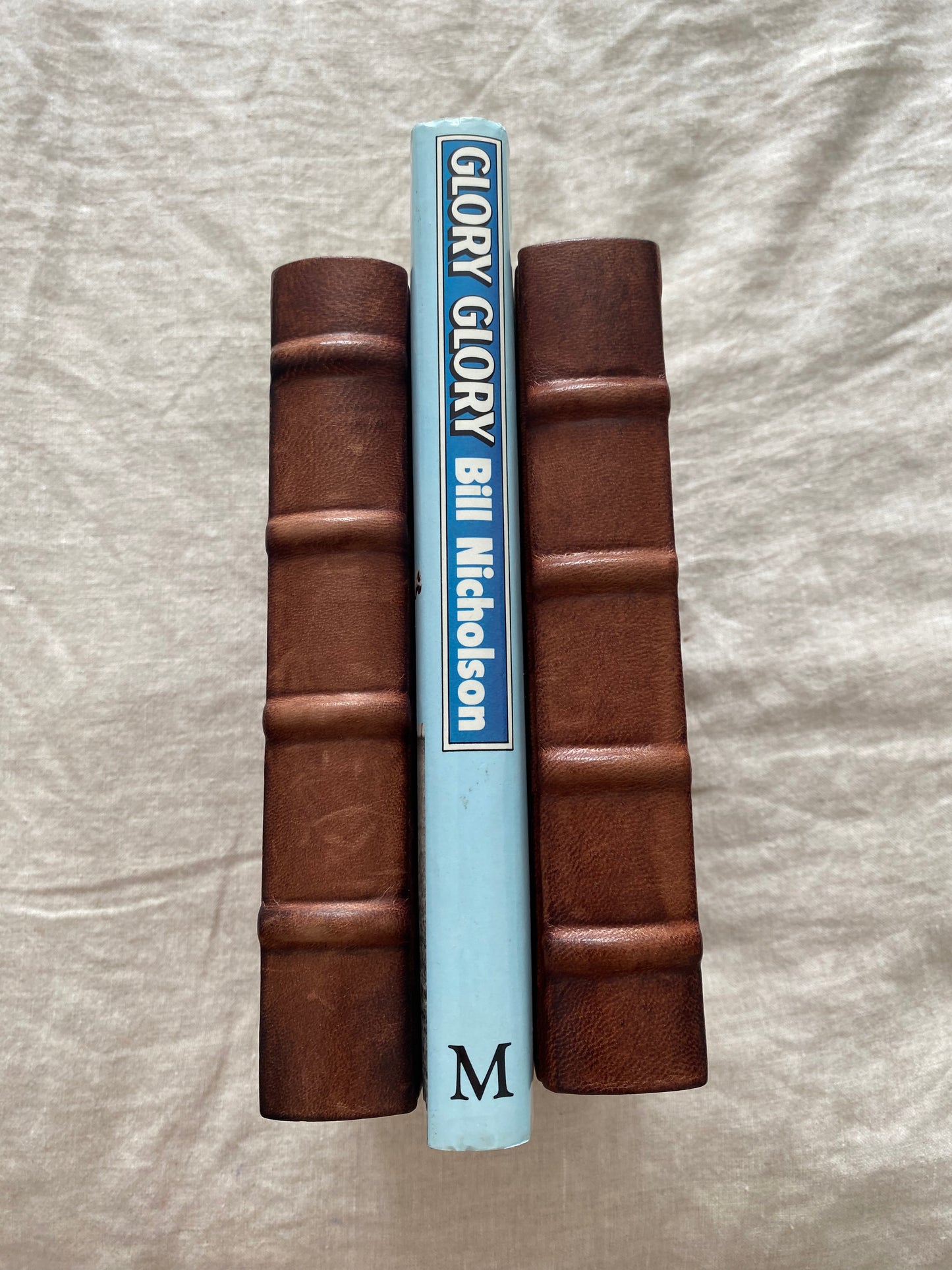 Glory Glory: My Life with Spurs