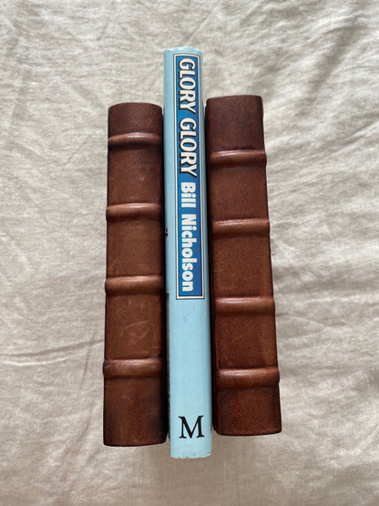 Glory Glory: My Life with Spurs