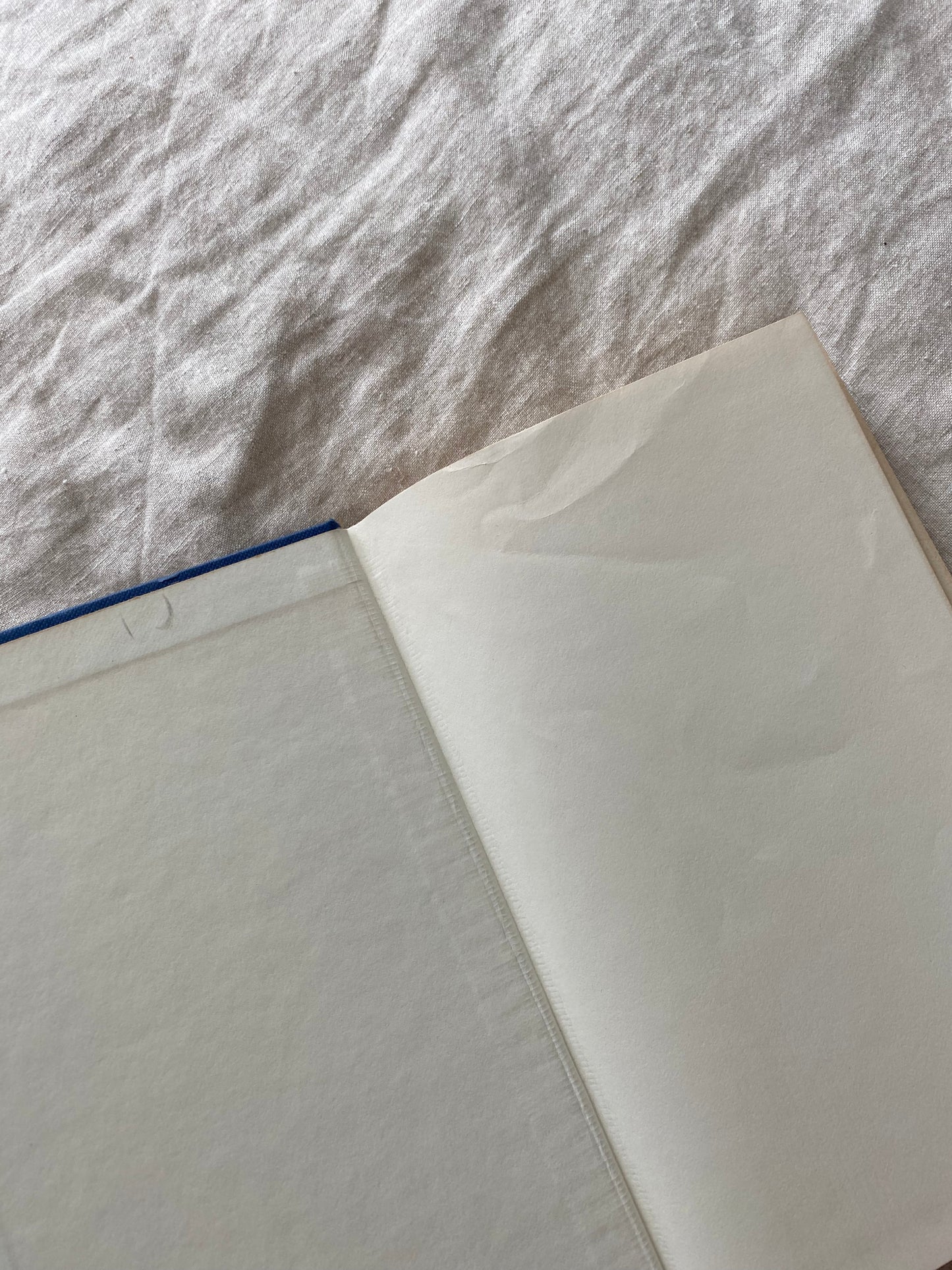 Glory Glory: My Life with Spurs