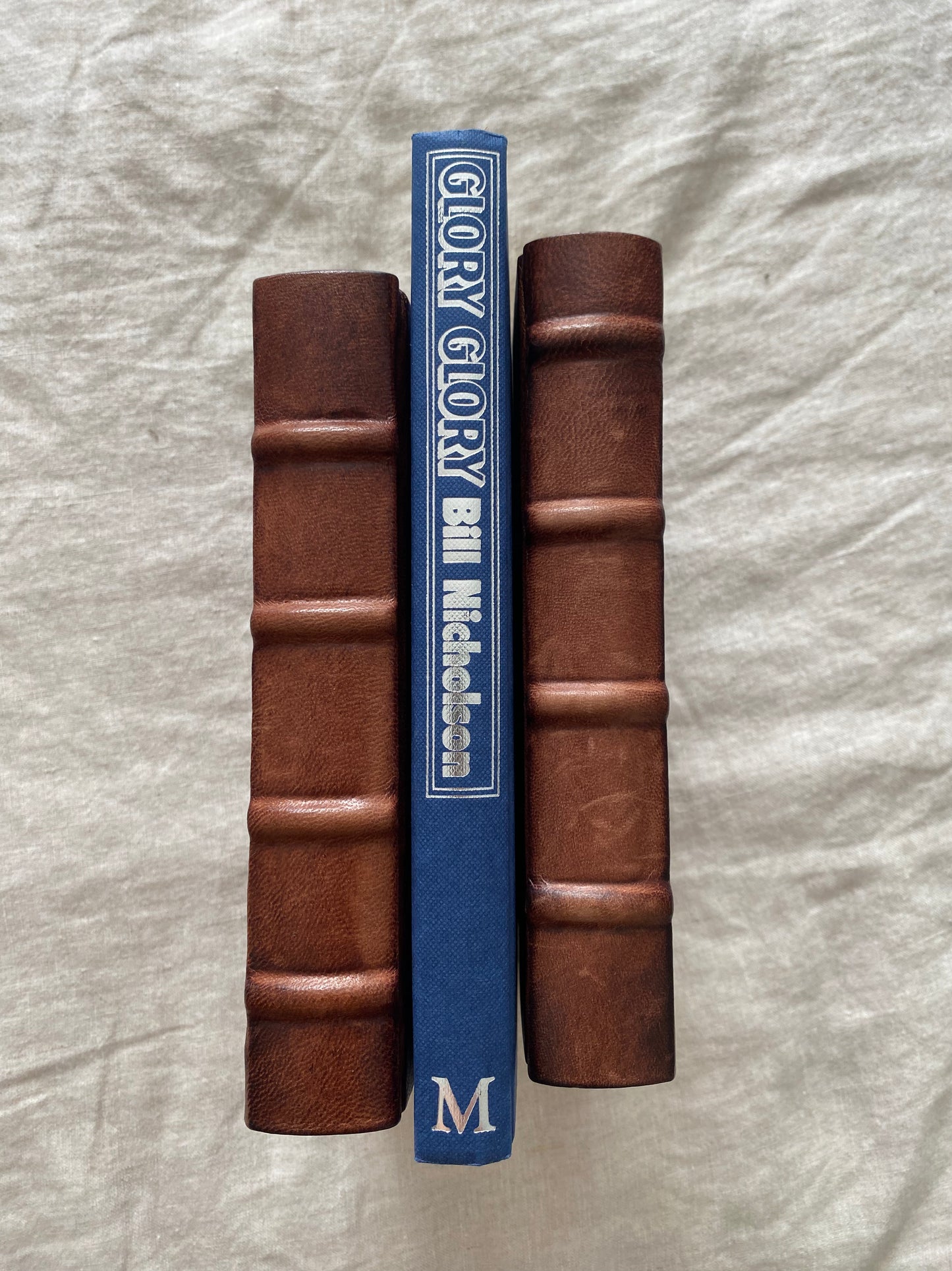 Glory Glory: My Life with Spurs