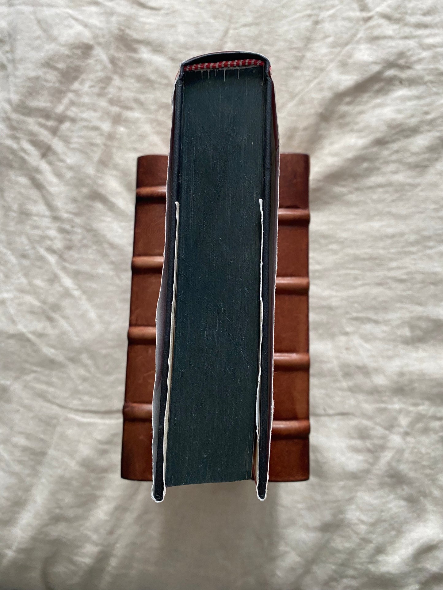 The Thursday Murder Club (Thursday Murder Club Series #1)