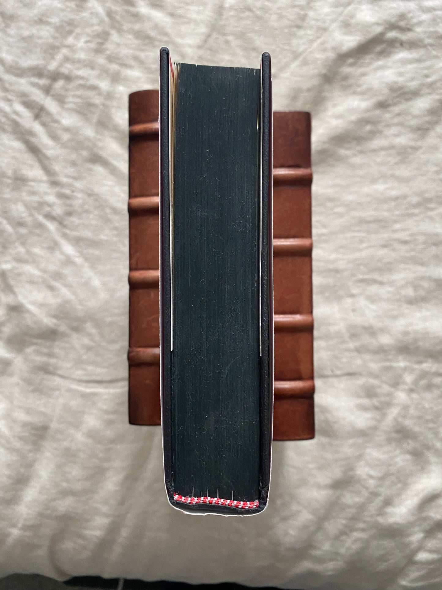 The Thursday Murder Club (Thursday Murder Club Series #1)