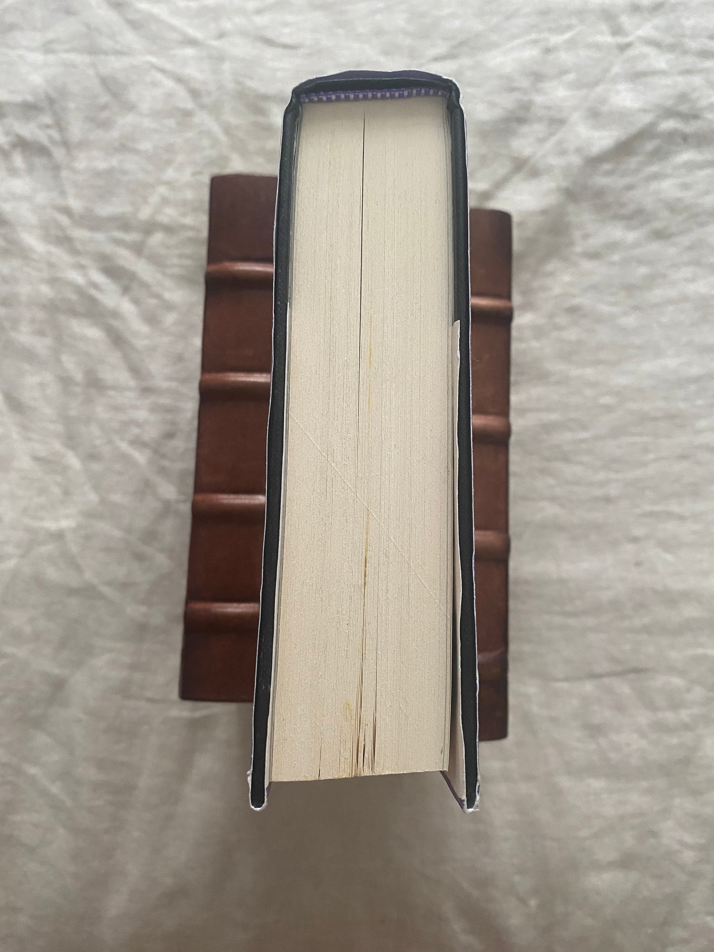 The Last Devil to Die (Thursday Murder Club Series #4)