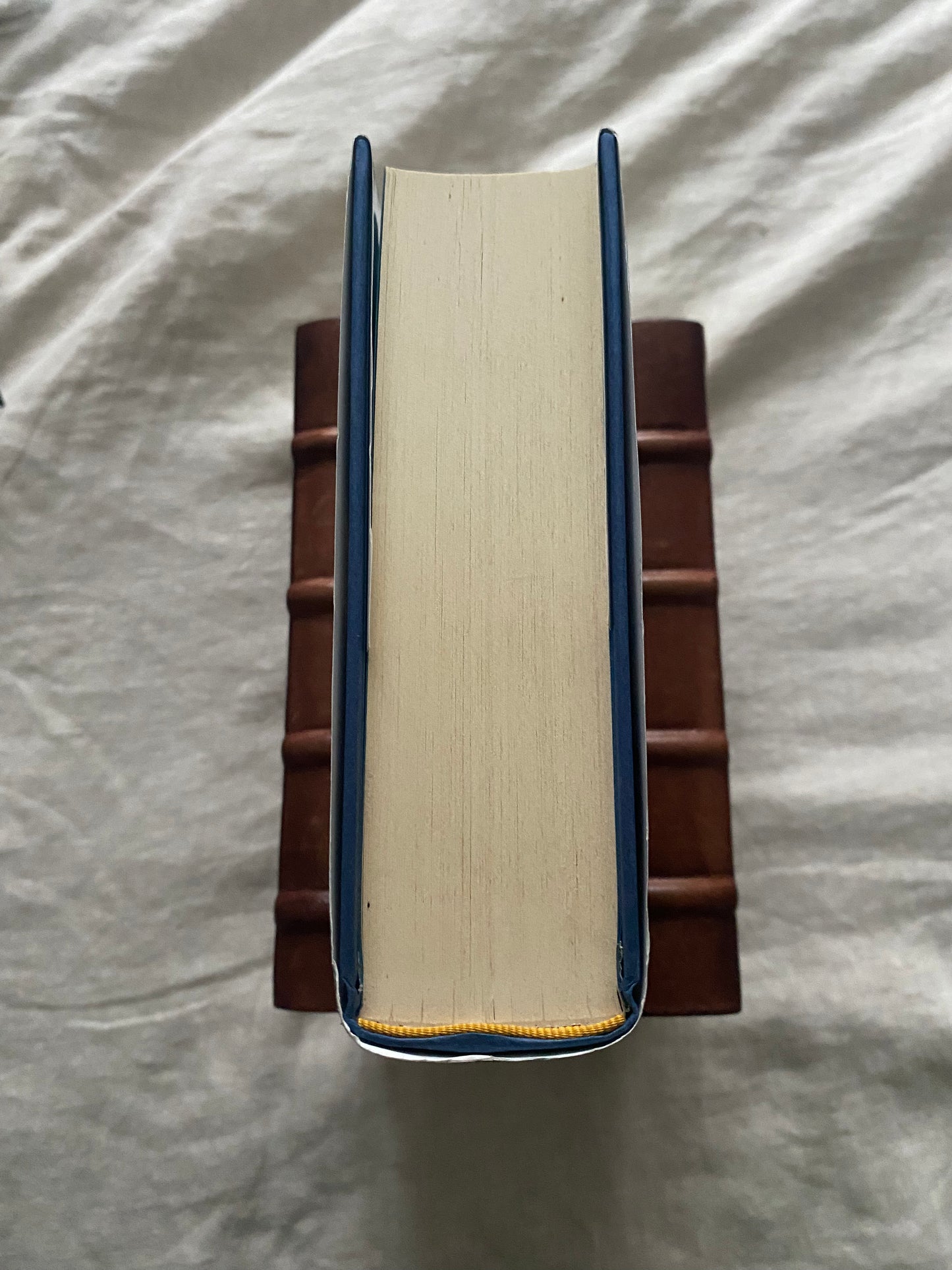 The Island of the Day Before