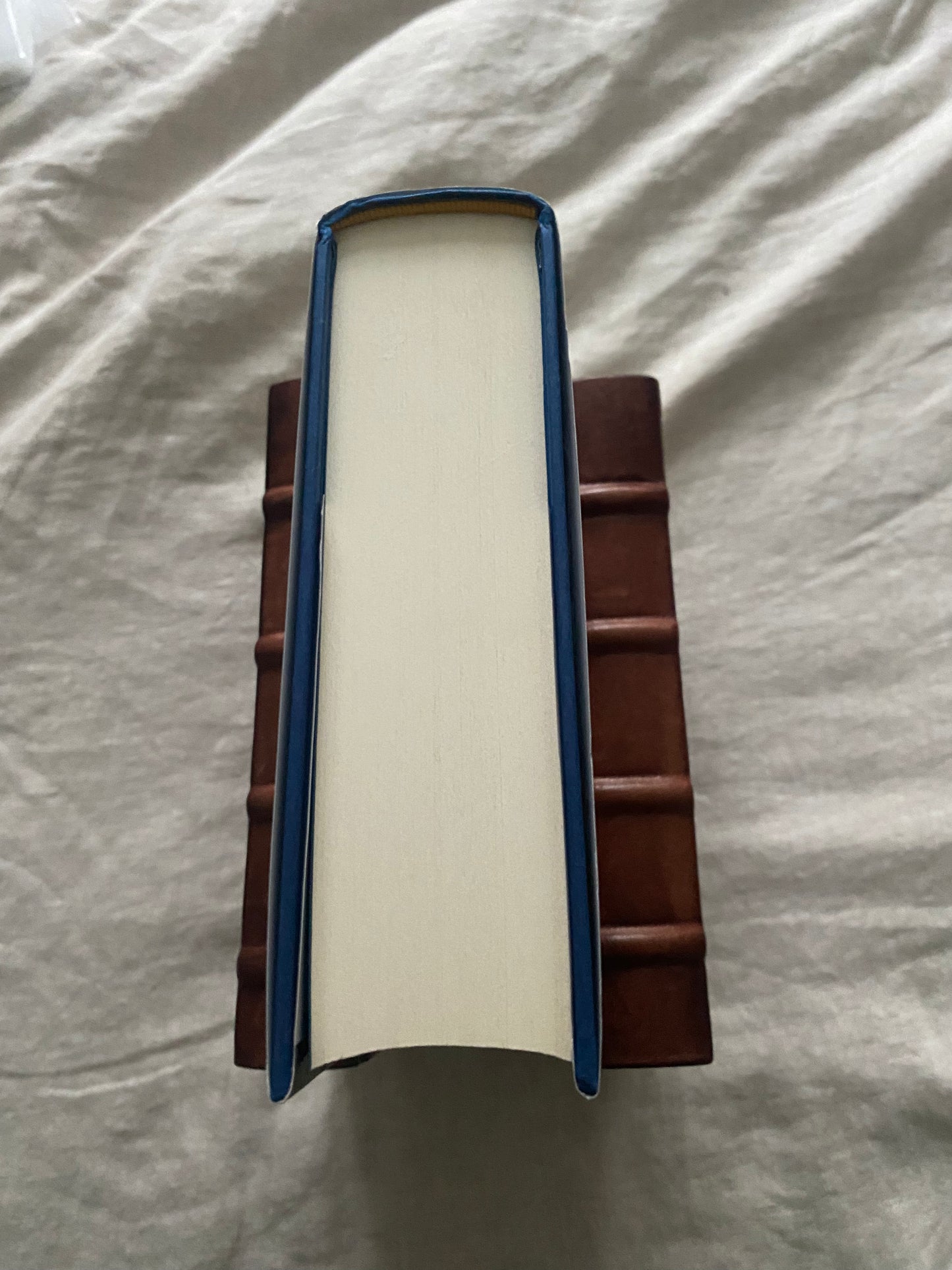 The Island of the Day Before