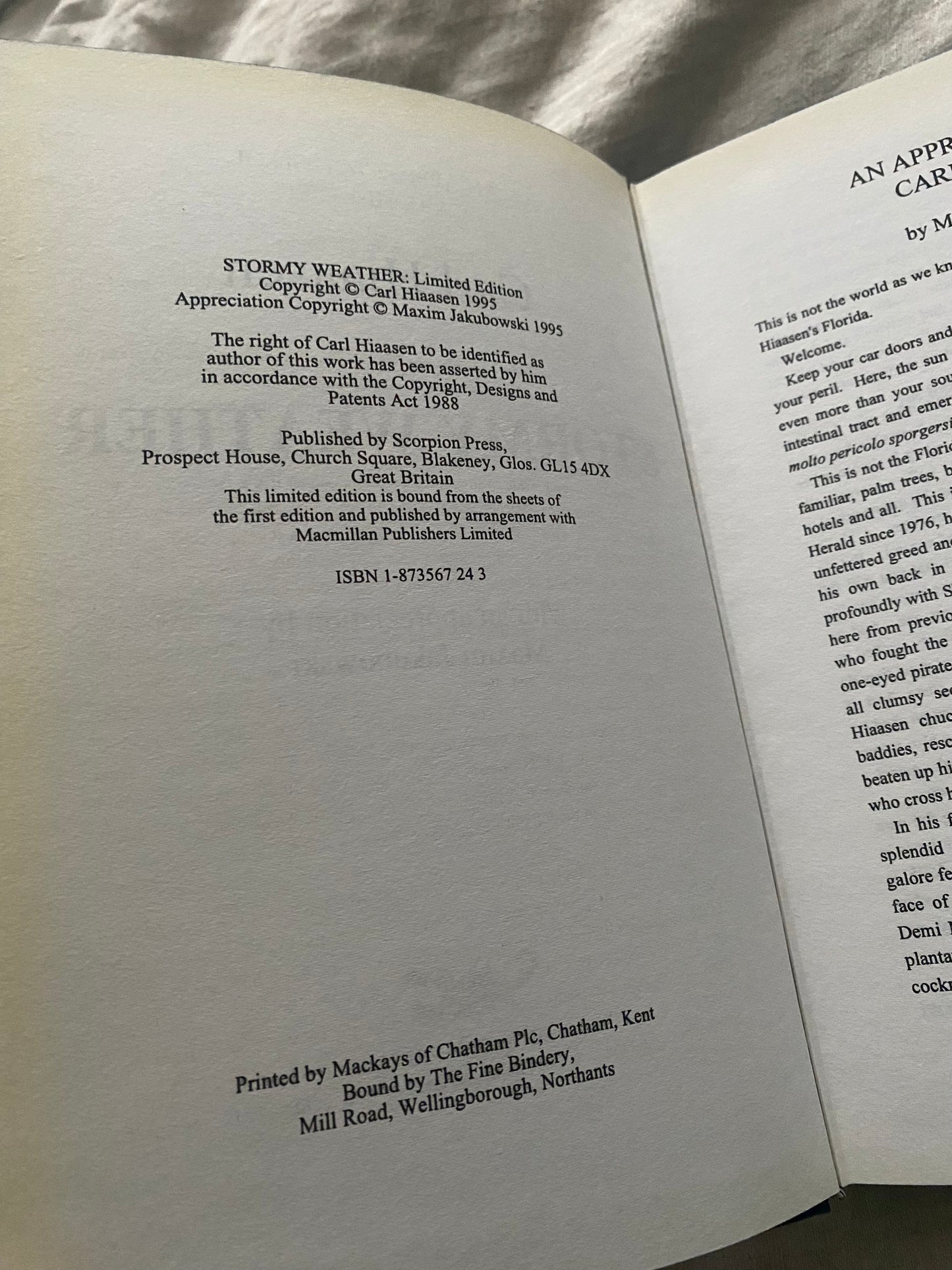 Stormy Weather [Scorpion Press No. 6/85]