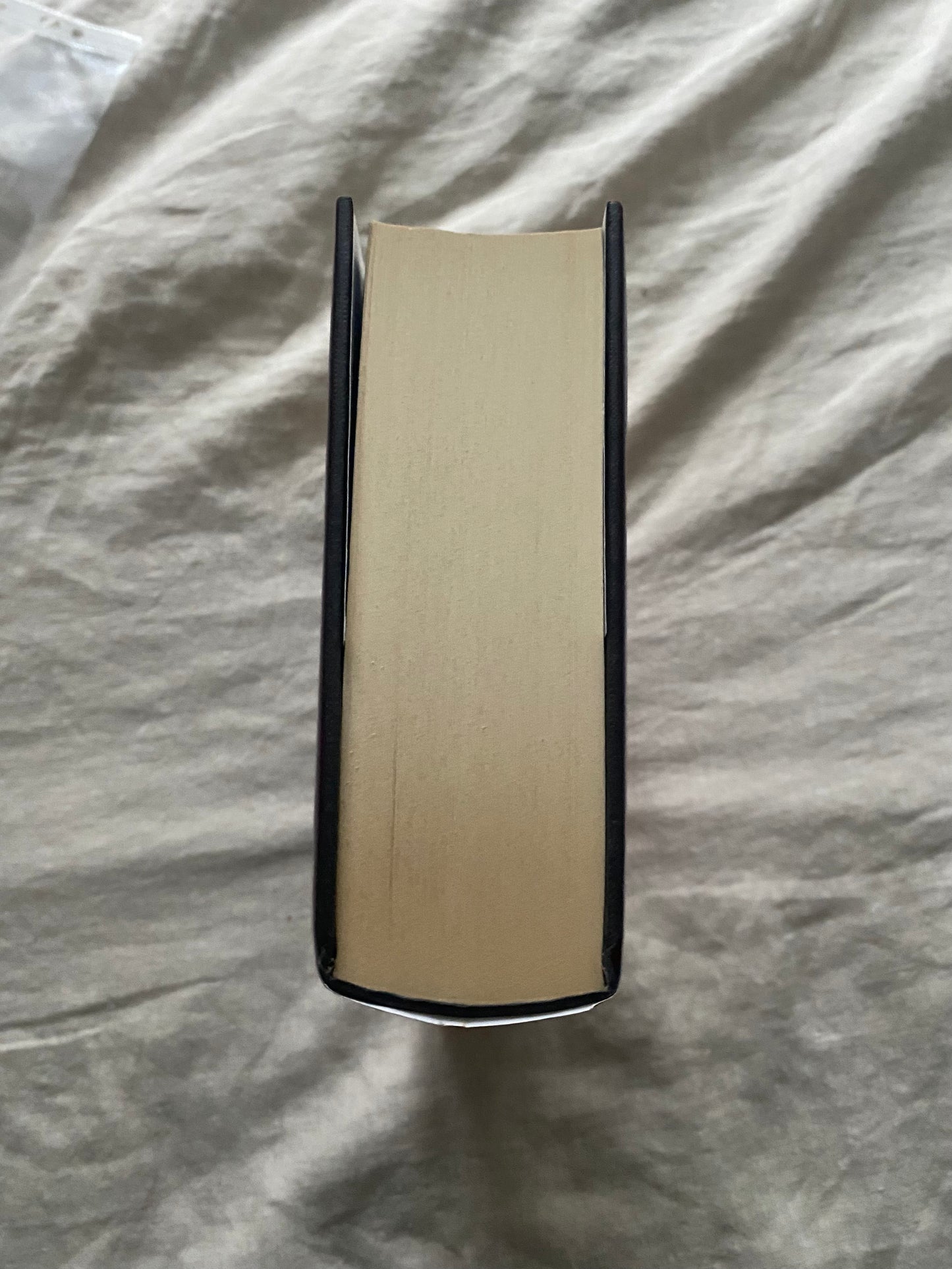 Babel Tower (Frederica Quartet #3)