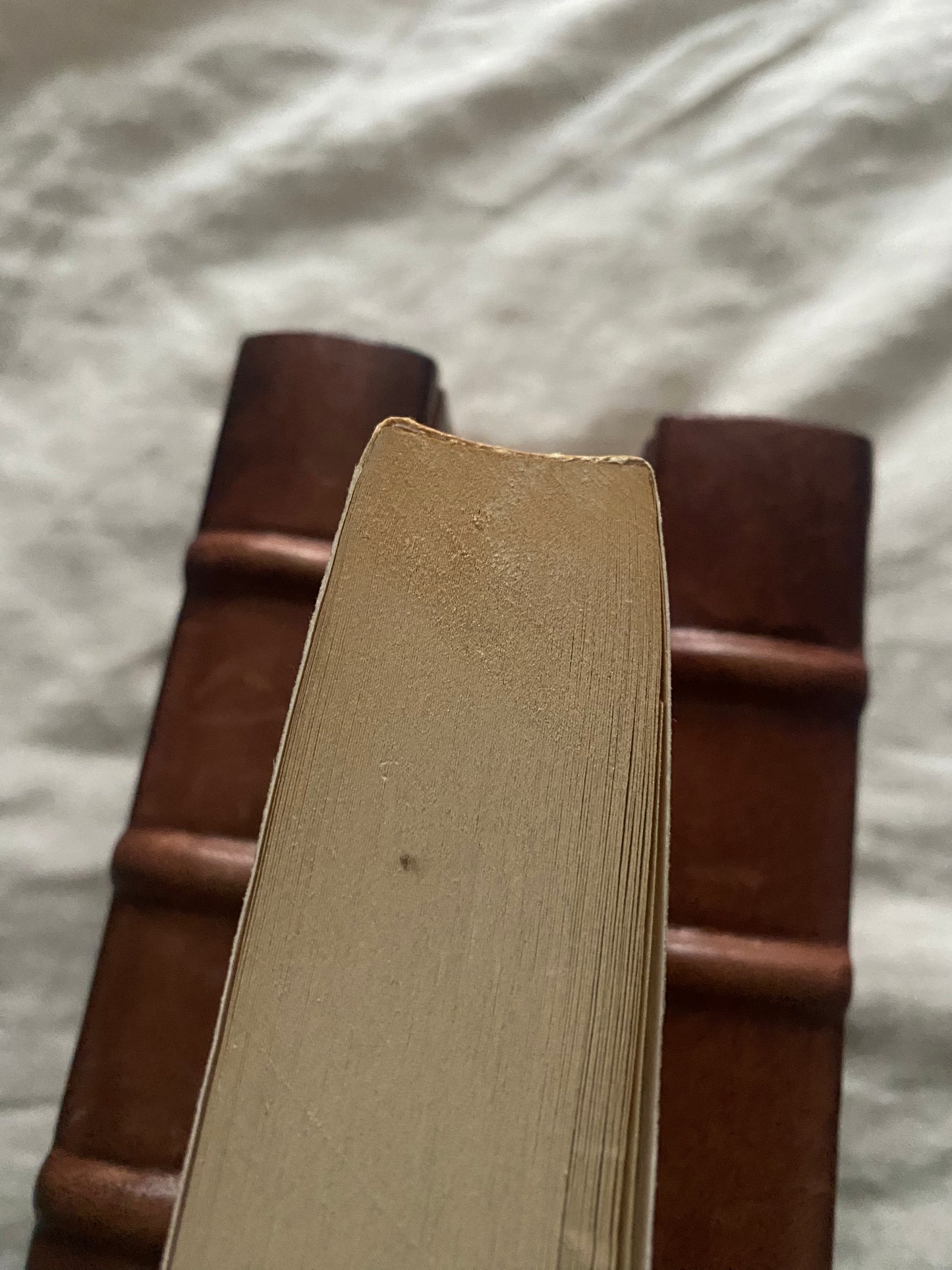 Il Nome della Rosa (I Grandi Tascabili Bompiani #33)