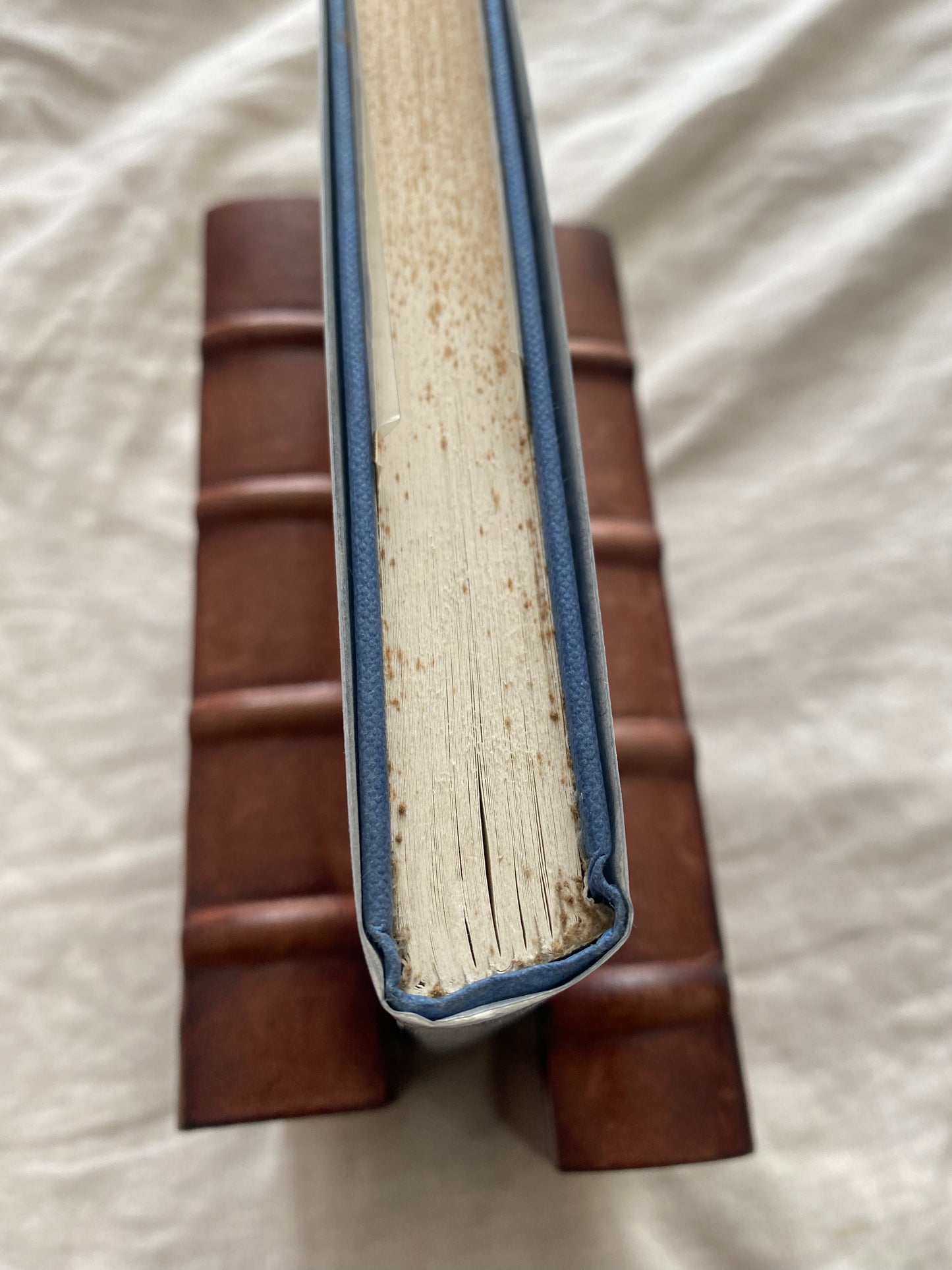 Secrets of Strangers