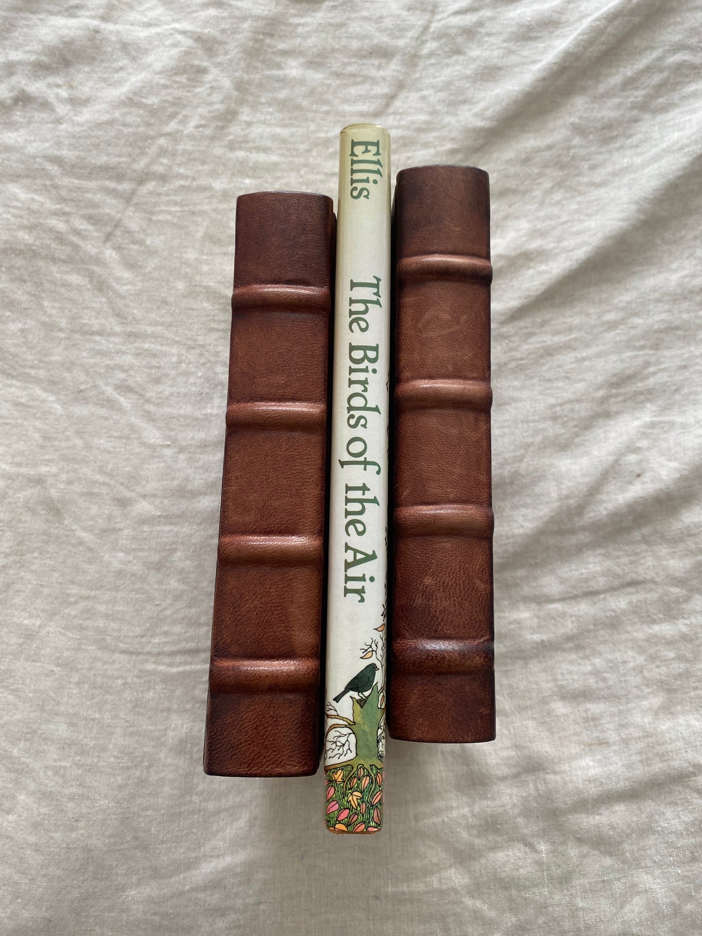 The Birds of the Air