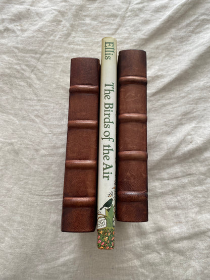 The Birds of the Air