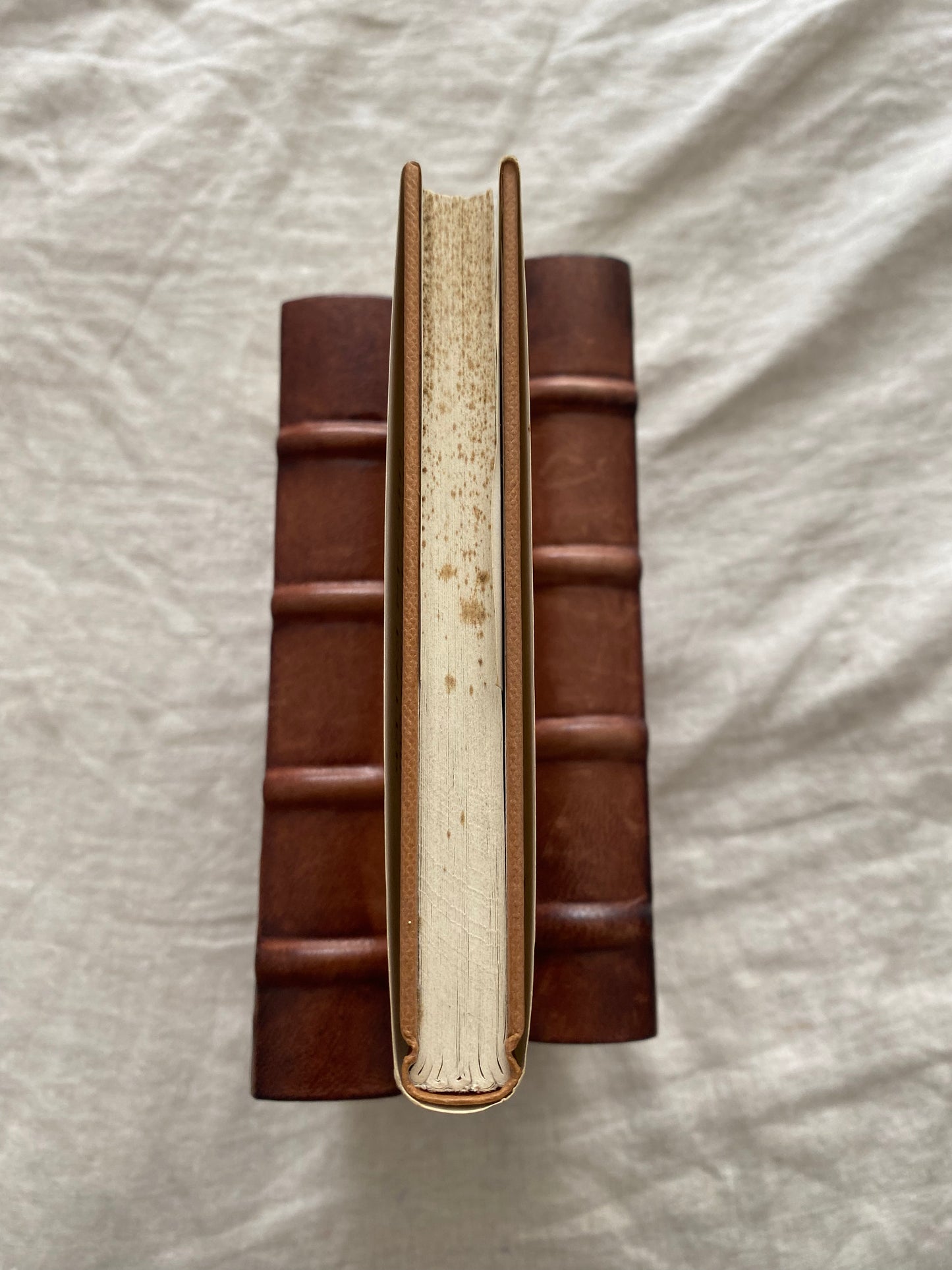 The Birds of the Air