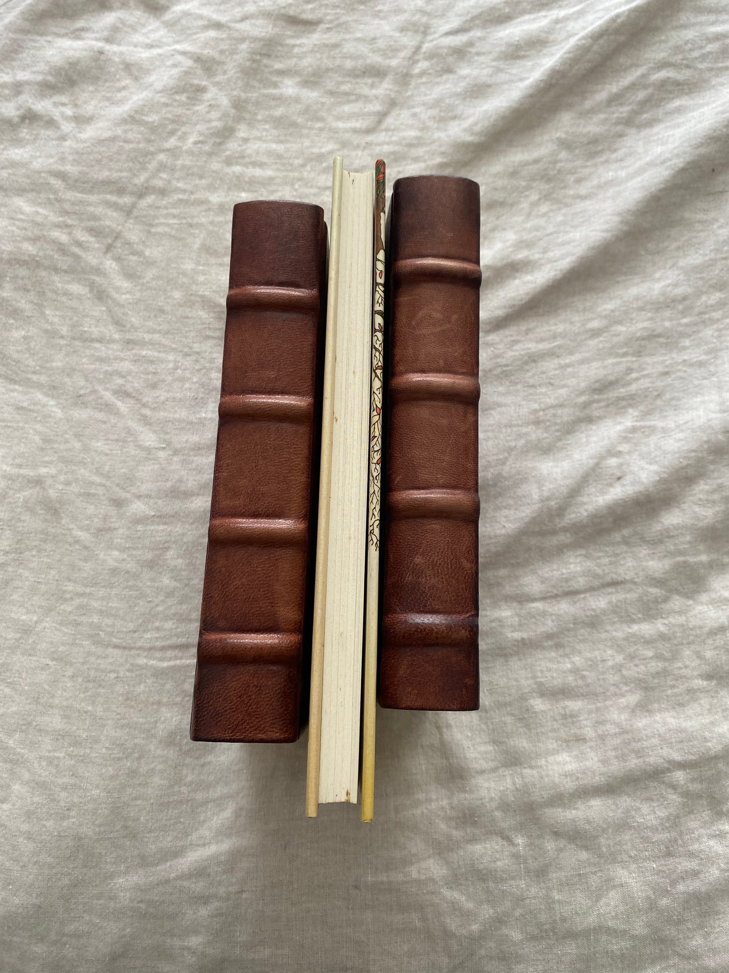 The Birds of the Air