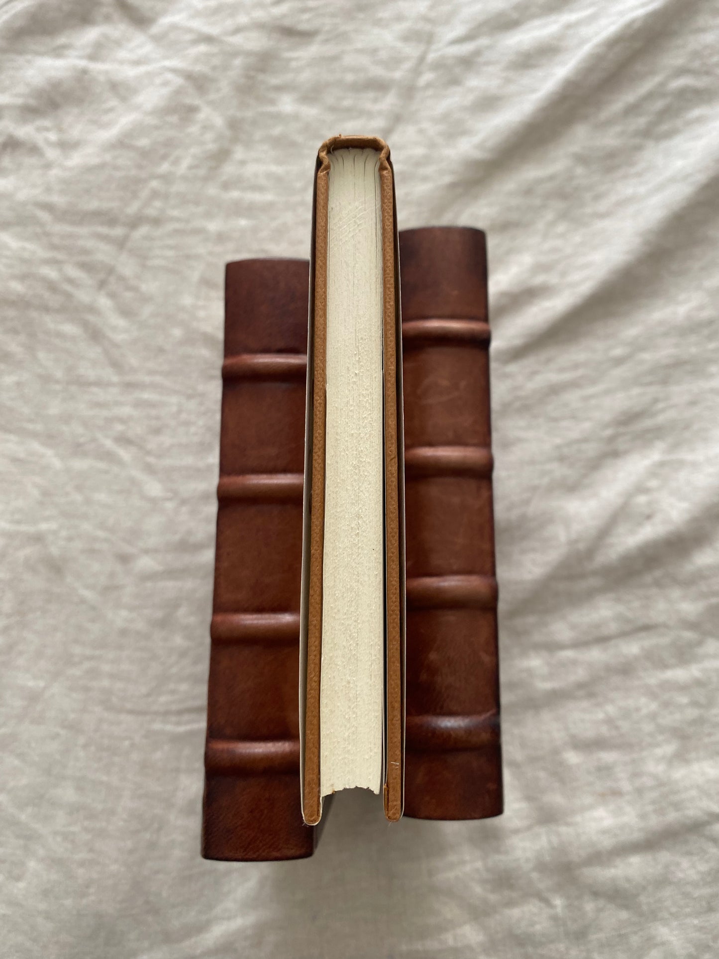 The Birds of the Air