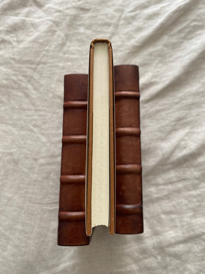 The Birds of the Air