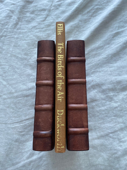 The Birds of the Air