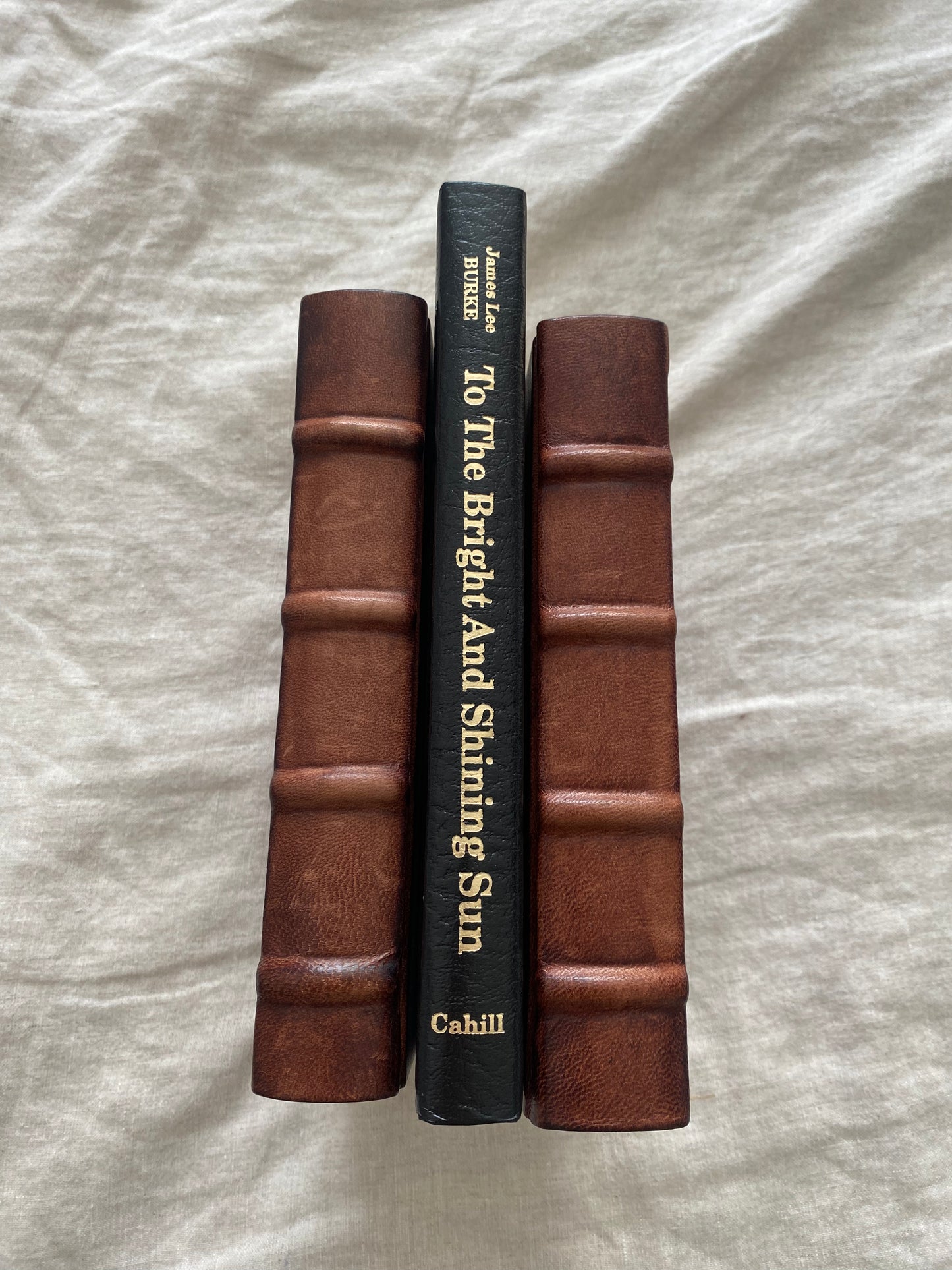 To the Bright and Shining Sun (James Cahill Edition - No. 176 of 400)