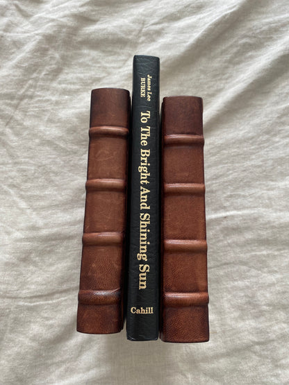 To the Bright and Shining Sun (James Cahill Edition - No. 176 of 400)