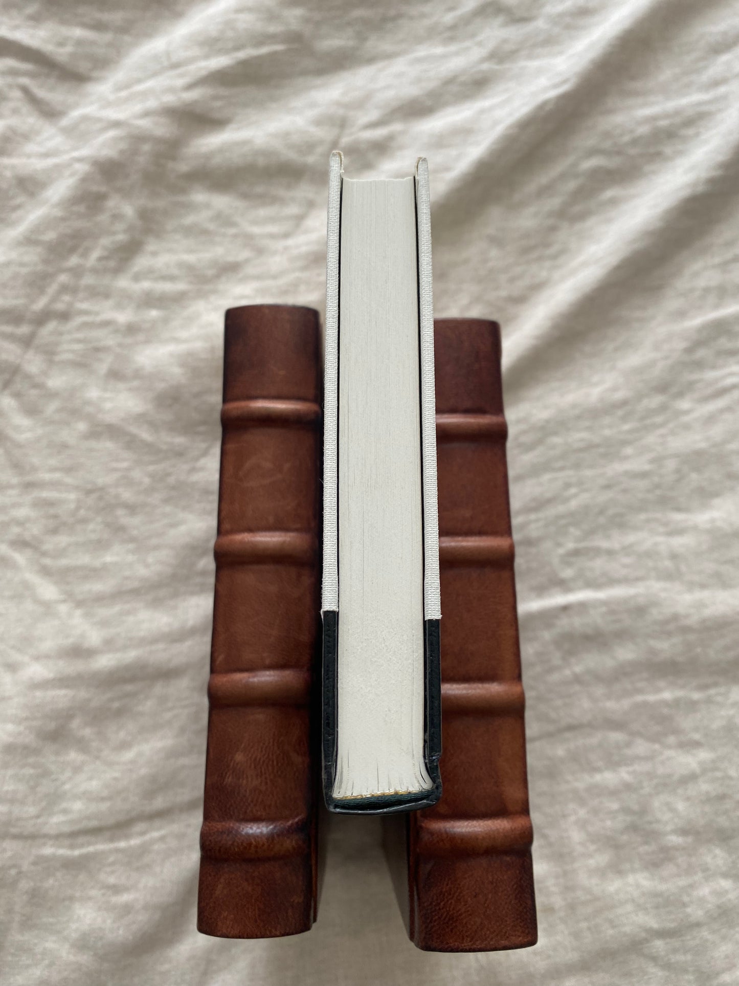 To the Bright and Shining Sun (James Cahill Edition - No. 176 of 400)