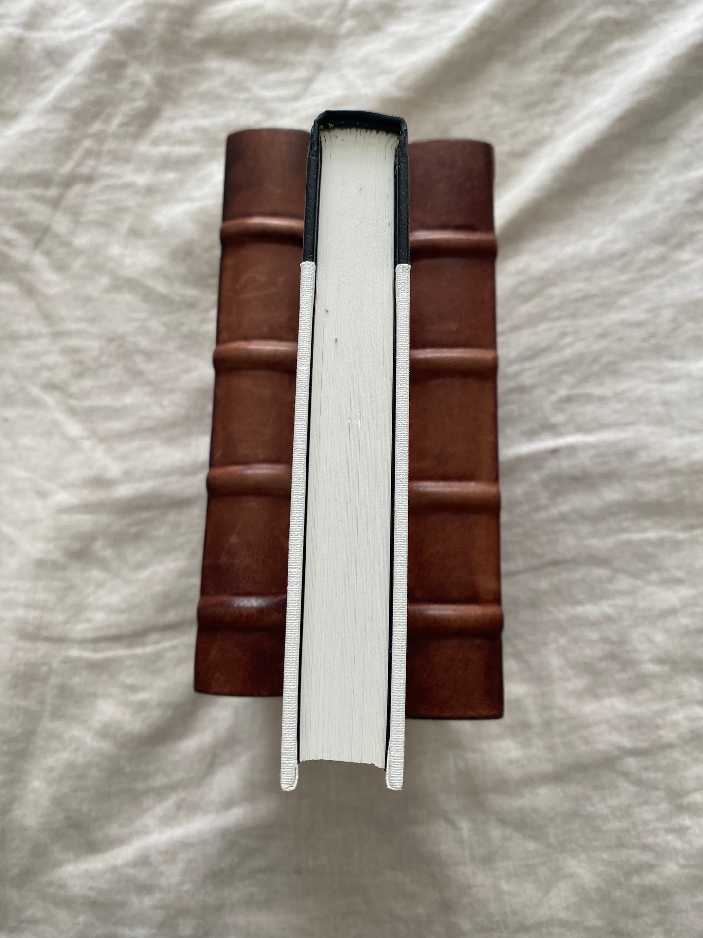 To the Bright and Shining Sun (James Cahill Edition - No. 176 of 400)