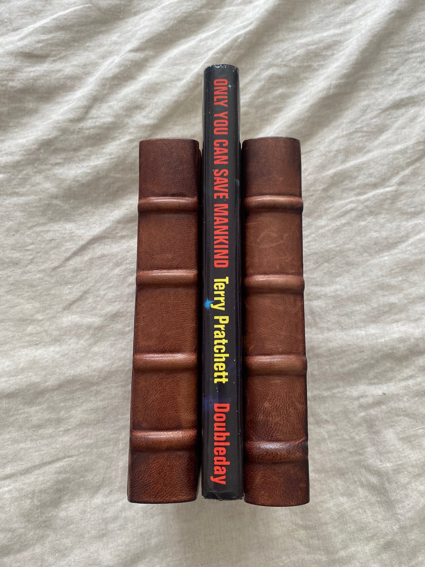 Only You Can Save Mankind (Johnny Maxwell Series #1)