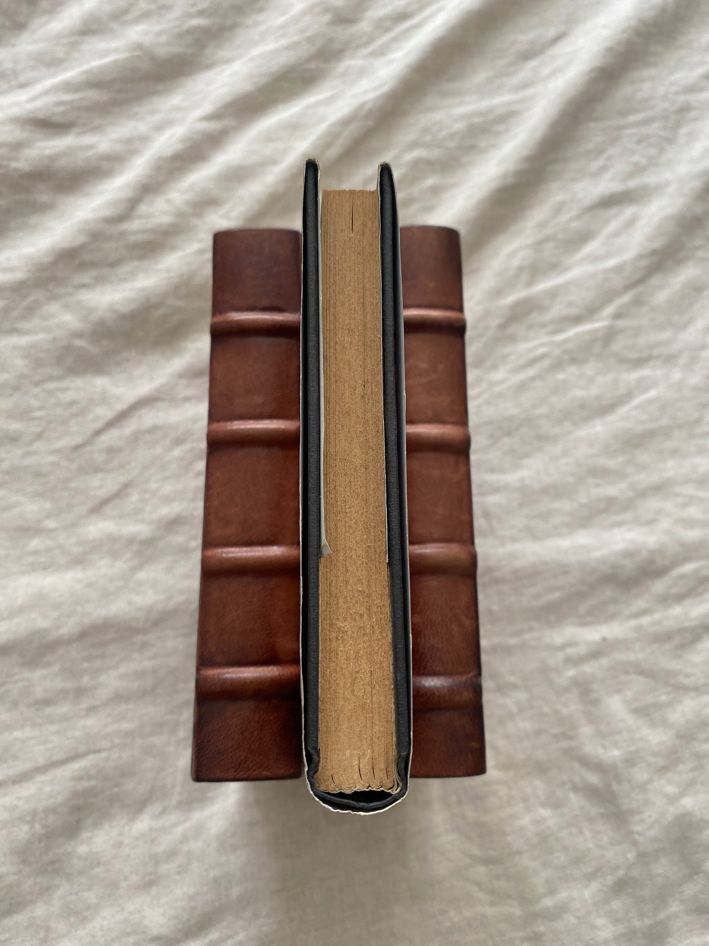 Only You Can Save Mankind (Johnny Maxwell Series #1)