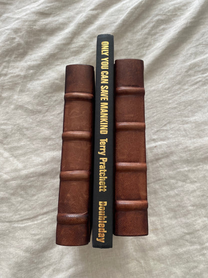 Only You Can Save Mankind (Johnny Maxwell Series #1)