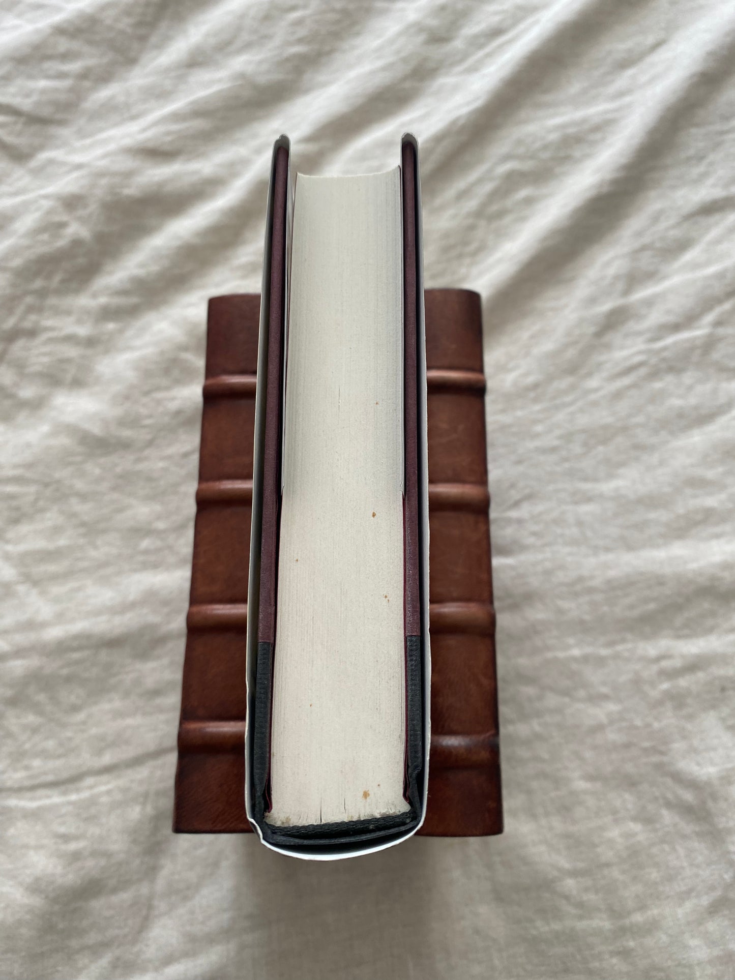 Chosen Prey (Lucas Davenport Series #12)