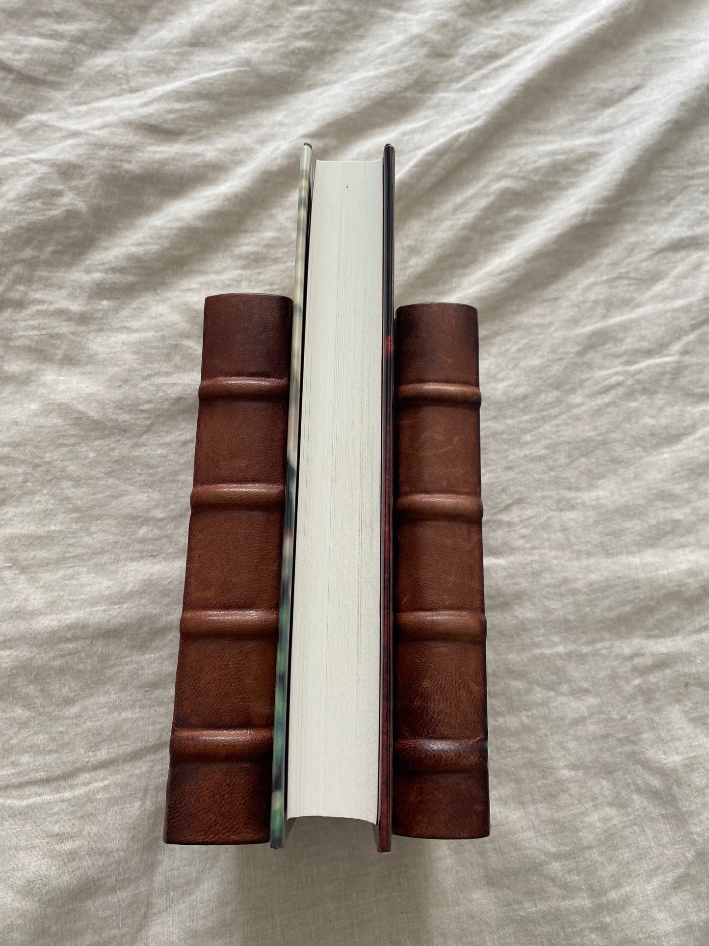 Chosen Prey (Lucas Davenport Series #12)