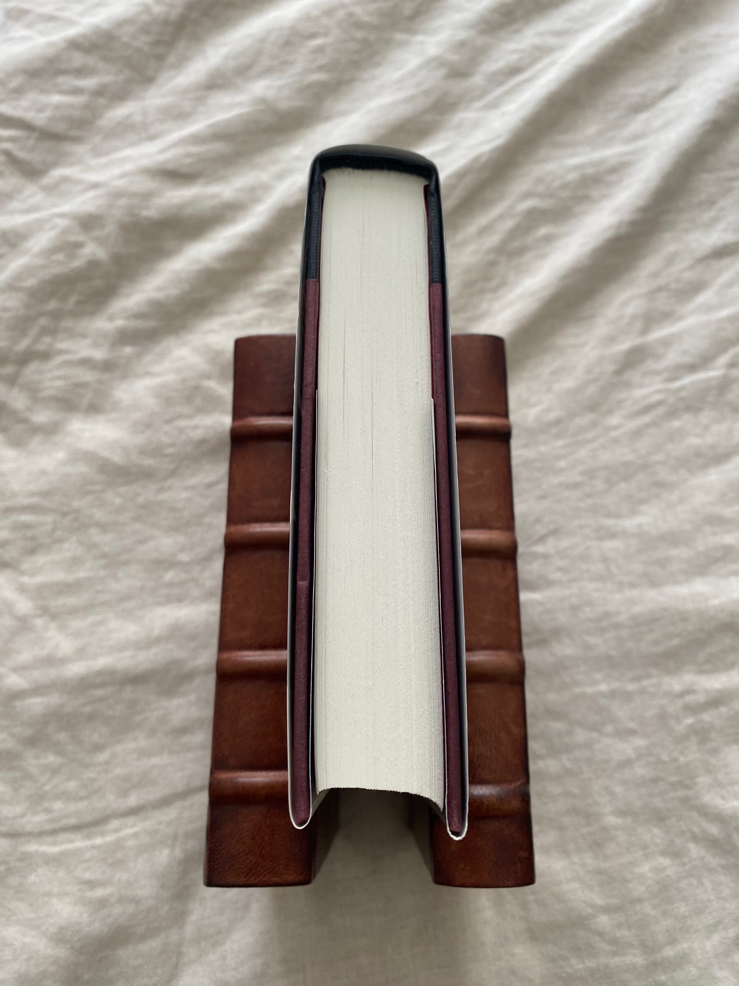 Chosen Prey (Lucas Davenport Series #12)