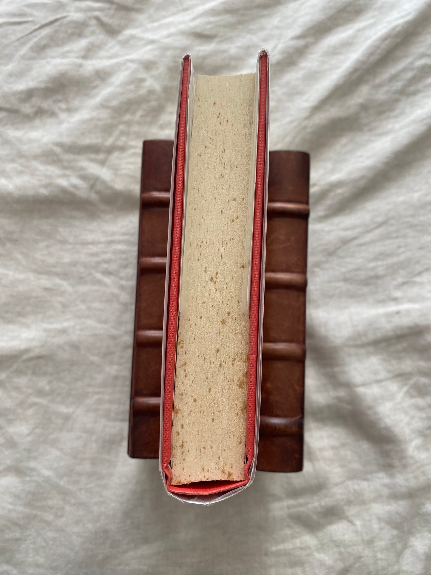 Rules of Prey (Lucas Davenport Series #1)