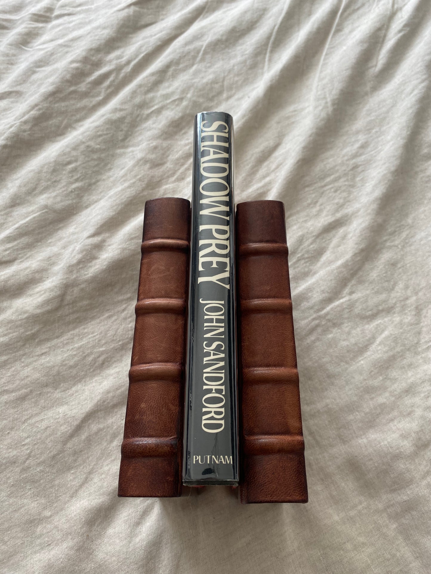 Shadow Prey (Lucas Davenport Series #2)