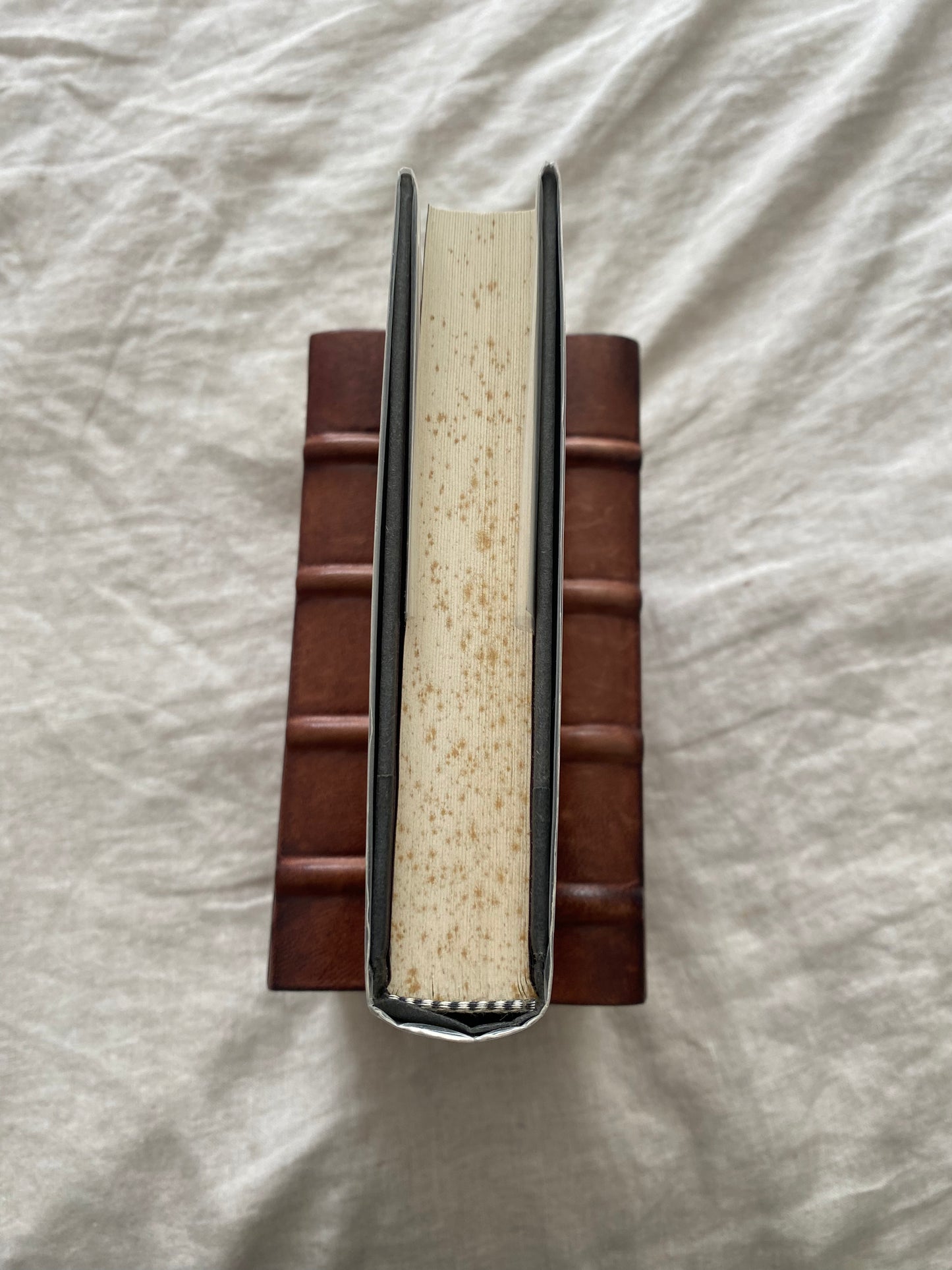 Silent Prey (Lucas Davenport Series #4)