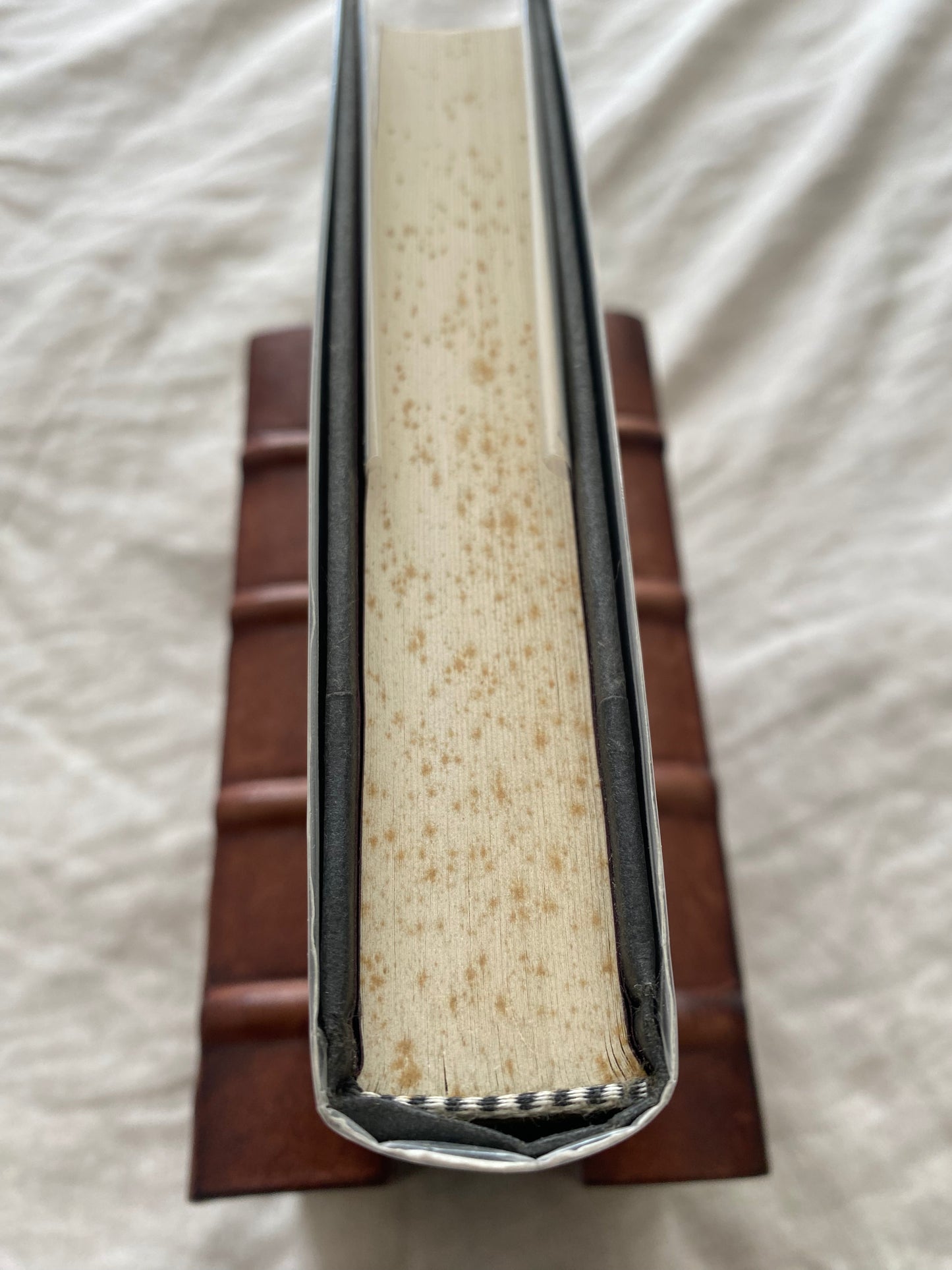 Silent Prey (Lucas Davenport Series #4)