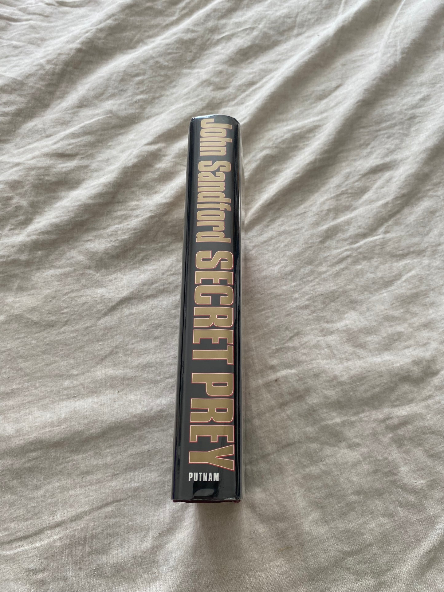 Secret Prey (Lucas Davenport Series #9)