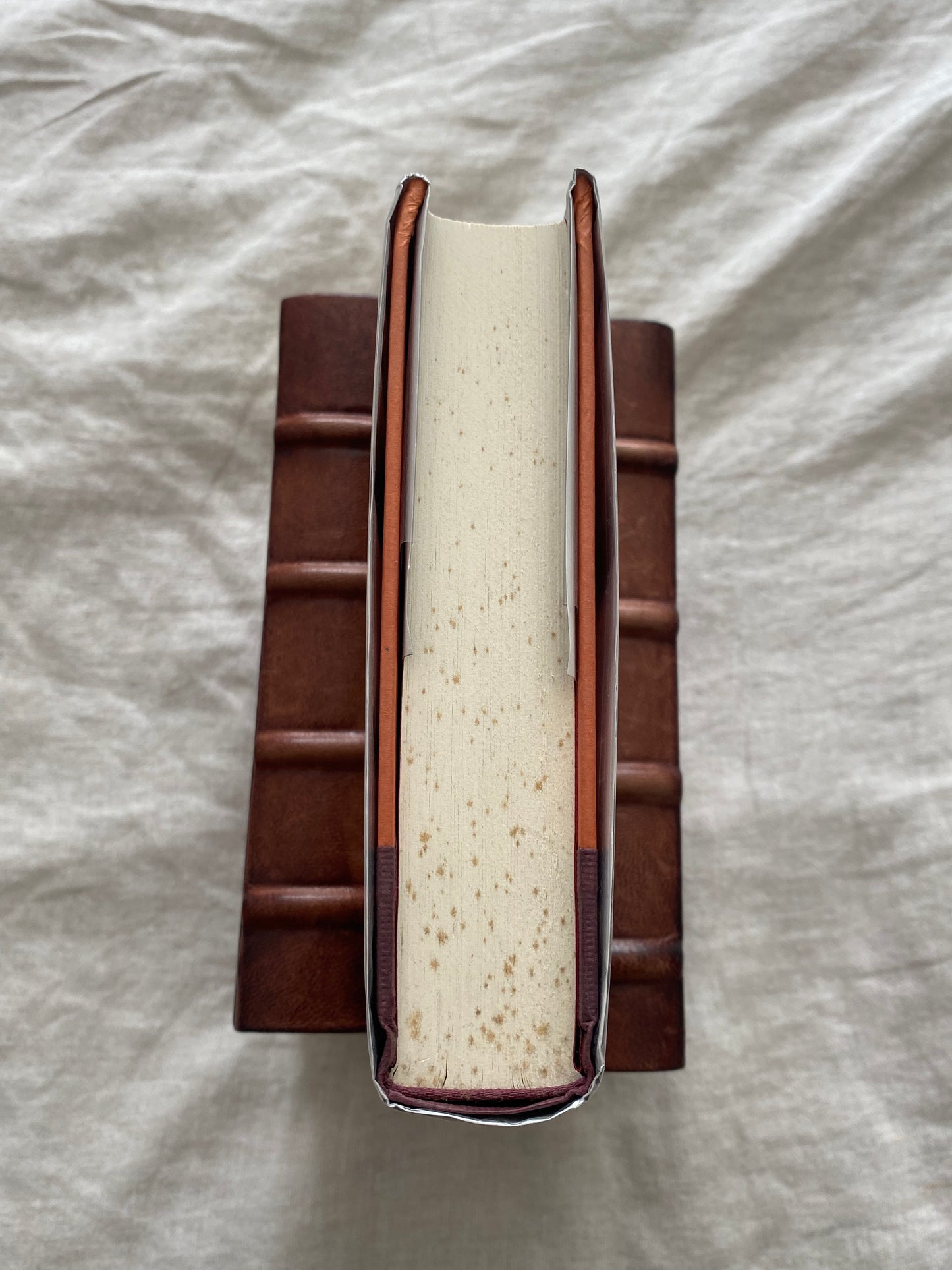 Secret Prey (Lucas Davenport Series #9)