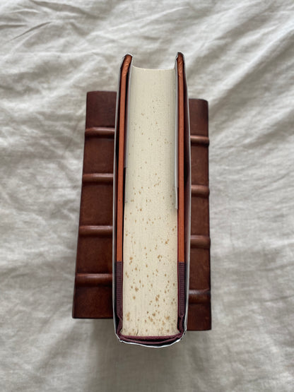 Secret Prey (Lucas Davenport Series #9)