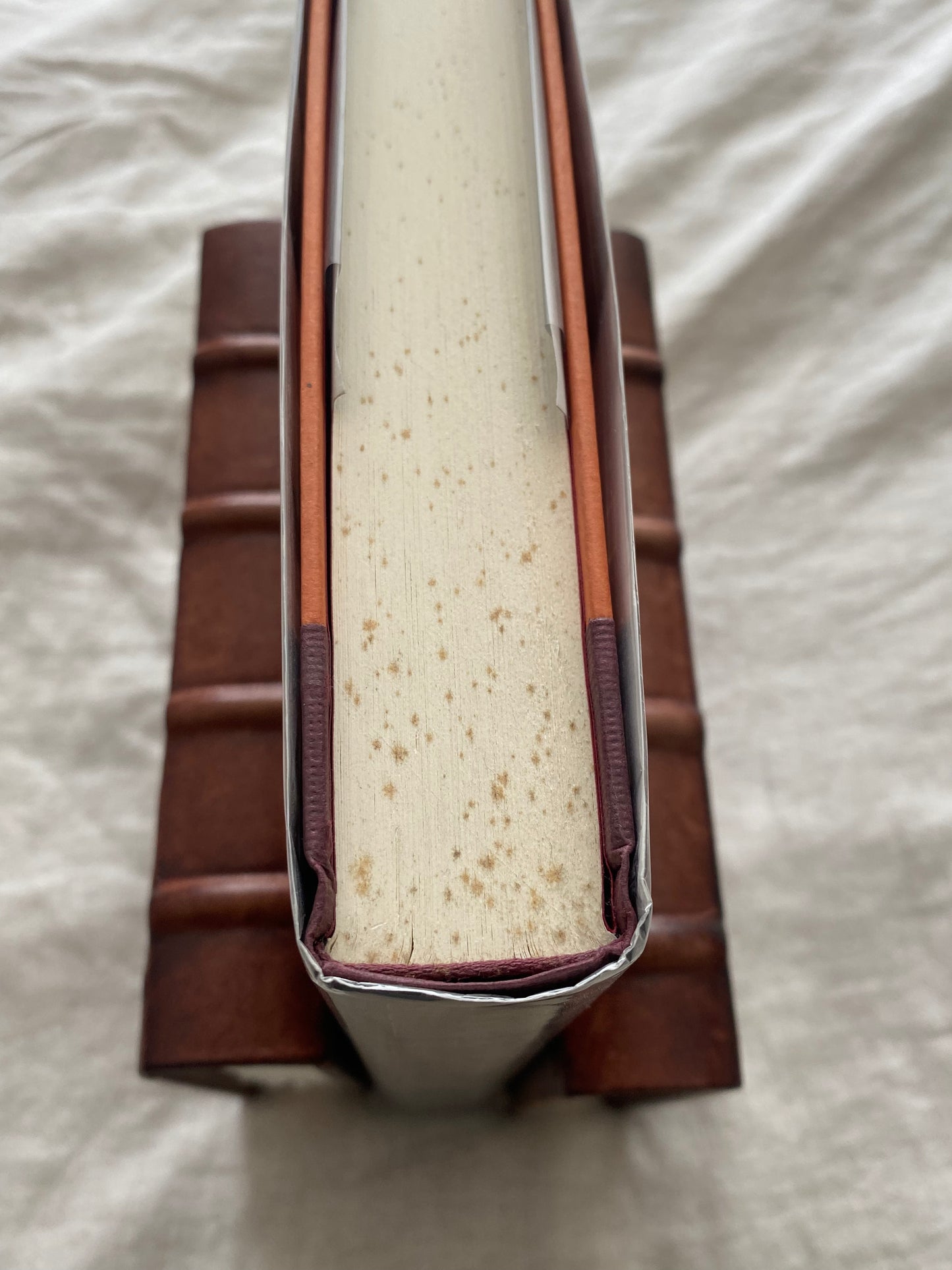 Secret Prey (Lucas Davenport Series #9)