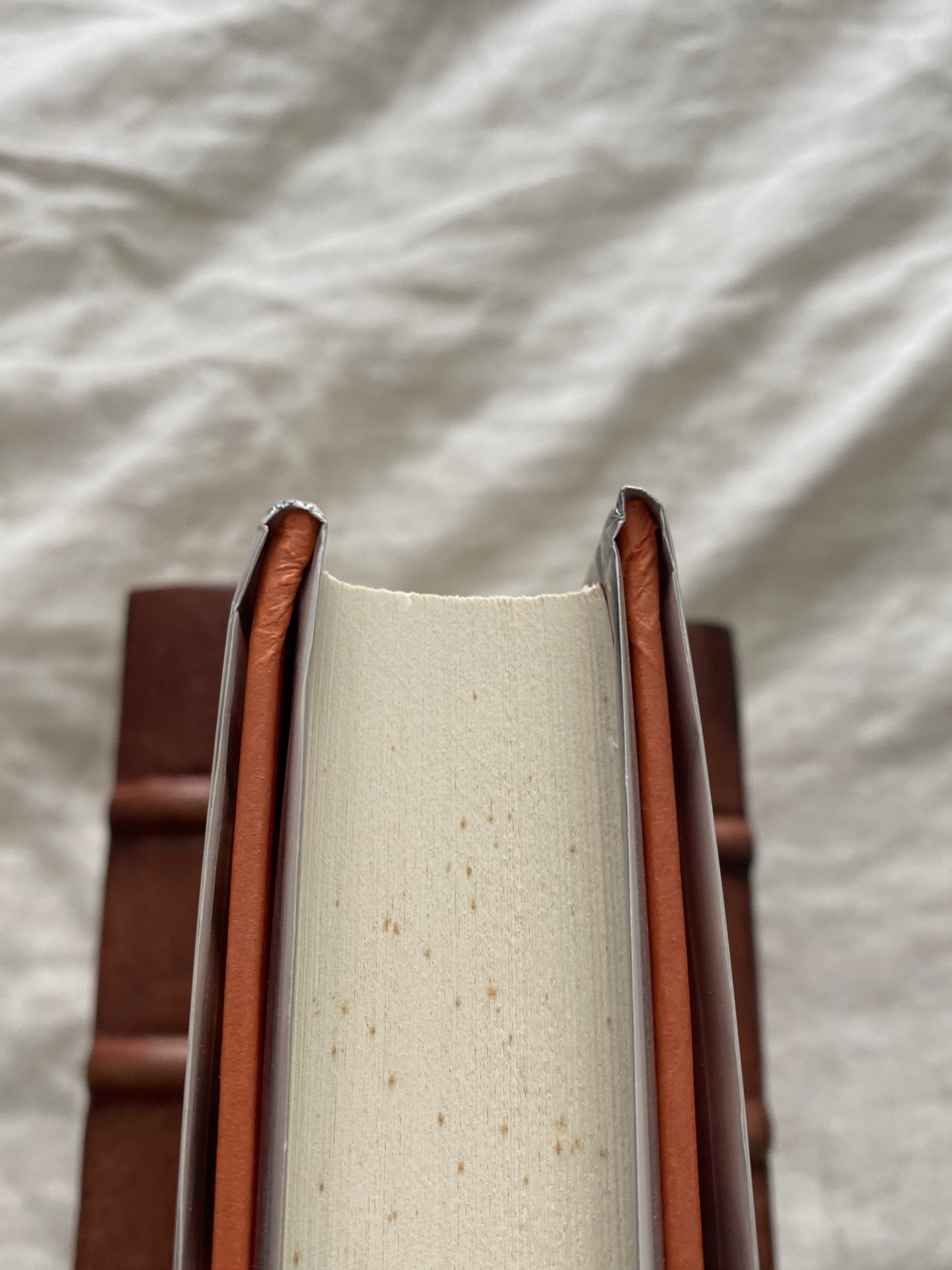 Secret Prey (Lucas Davenport Series #9)