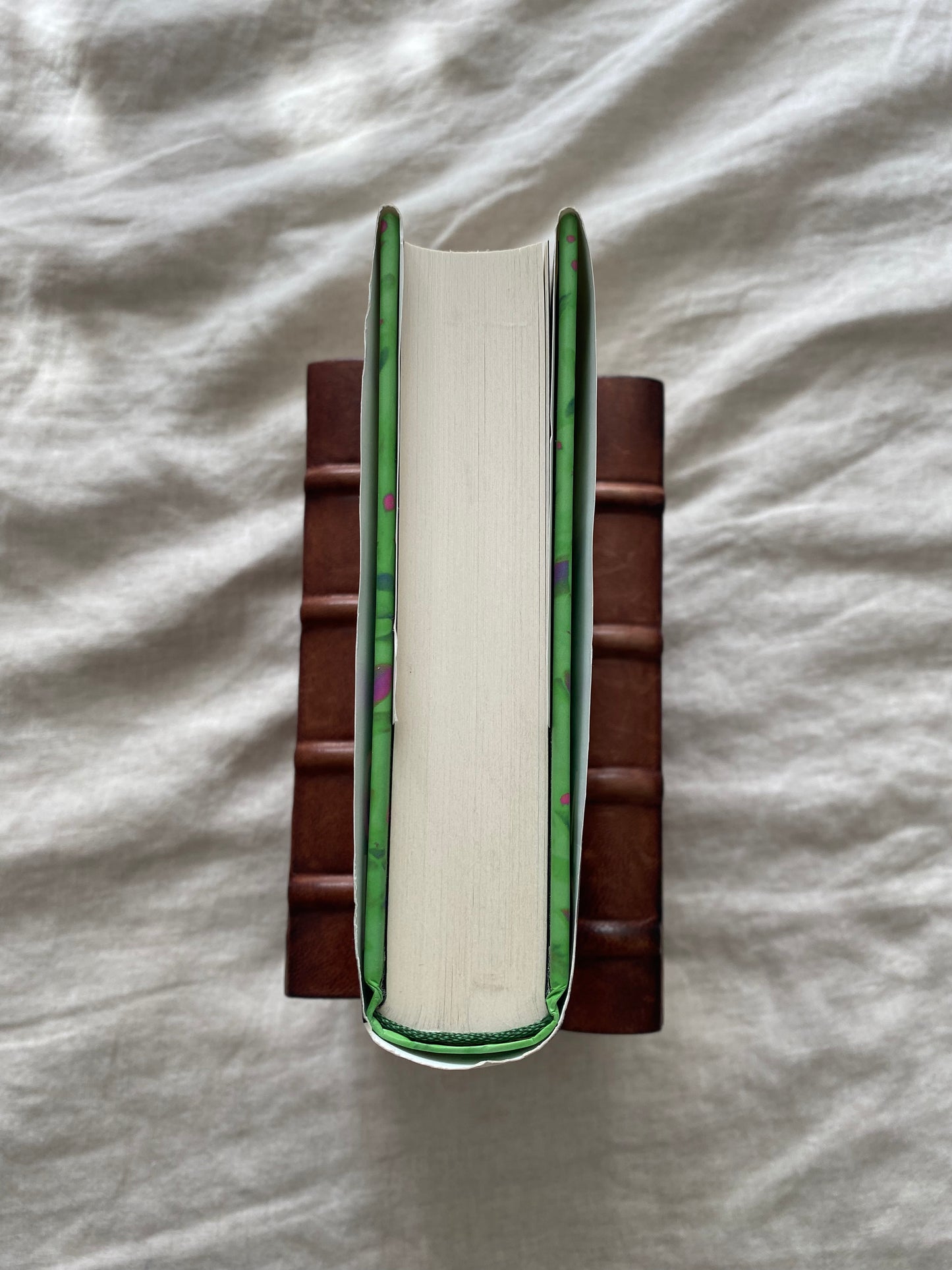 Oryx and Crake (MaddAddam Trilogy #1)