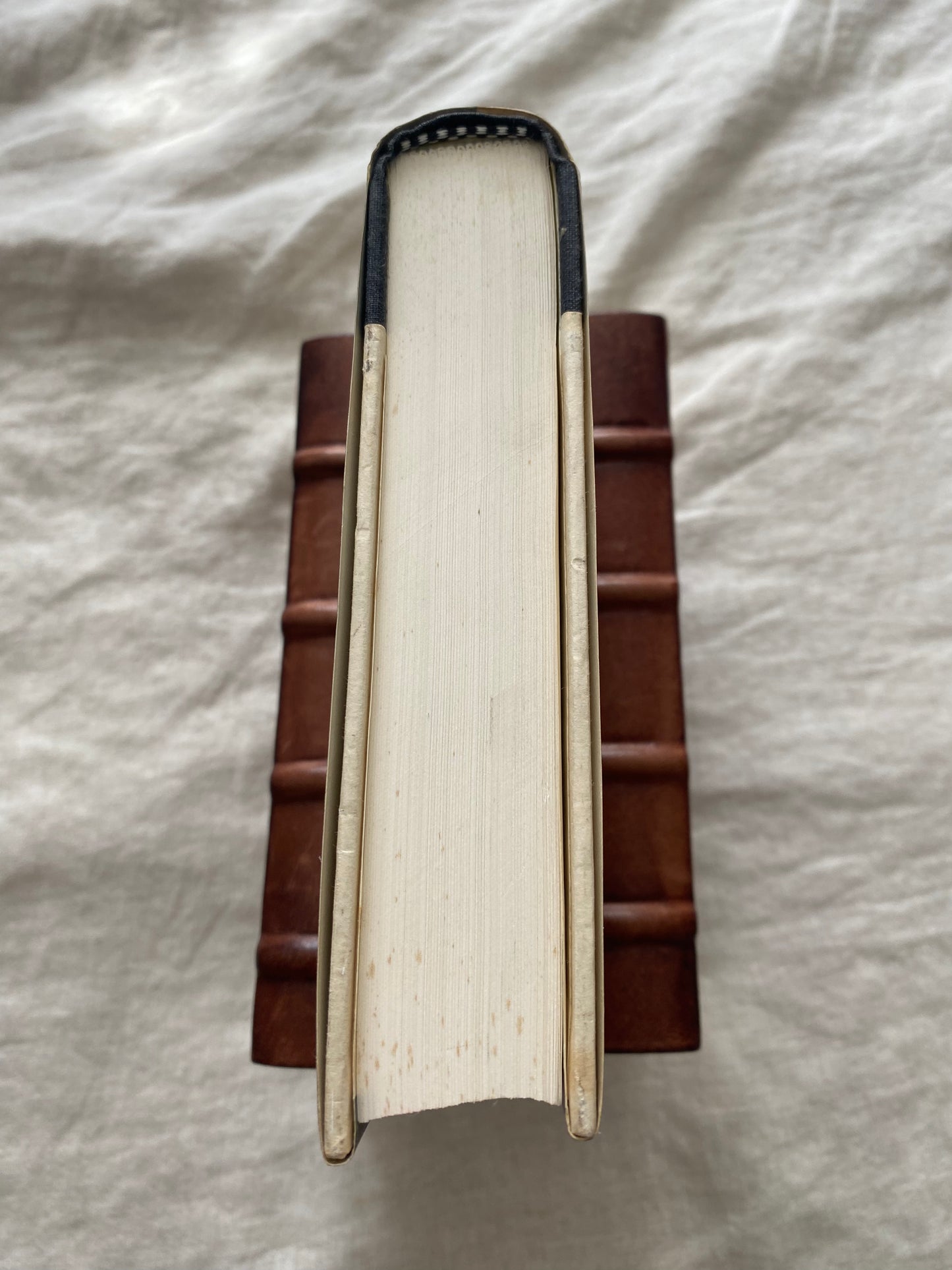 The Rape of Europa: The Fate of Europe’s Treasures in the Third Reich and the Second World War