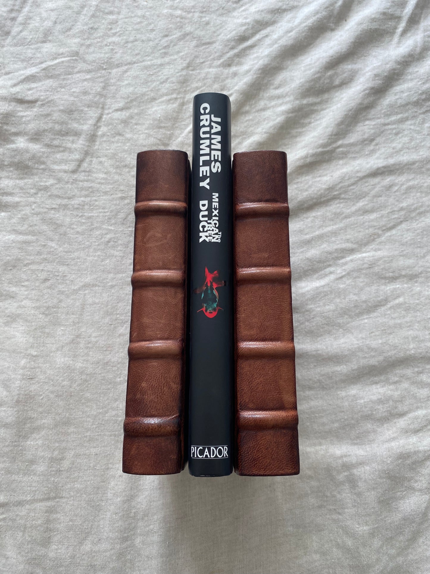 The Mexican Tree Duck (C.W. Sughrue Series #2)