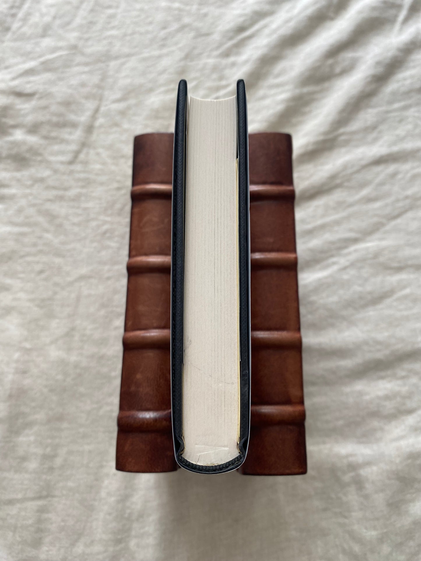 The Mexican Tree Duck (C.W. Sughrue Series #2)