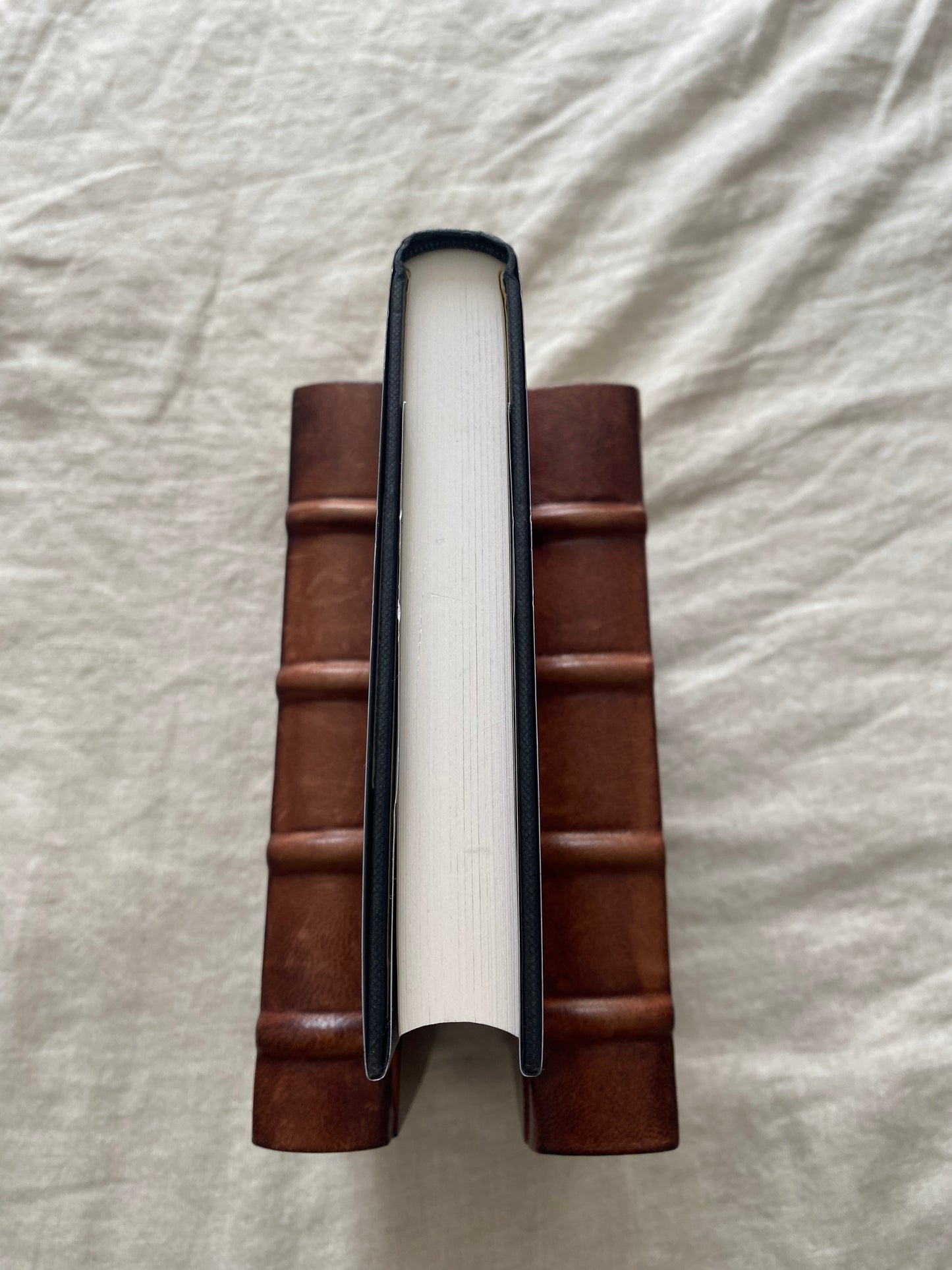 The Mexican Tree Duck (C.W. Sughrue Series #2)