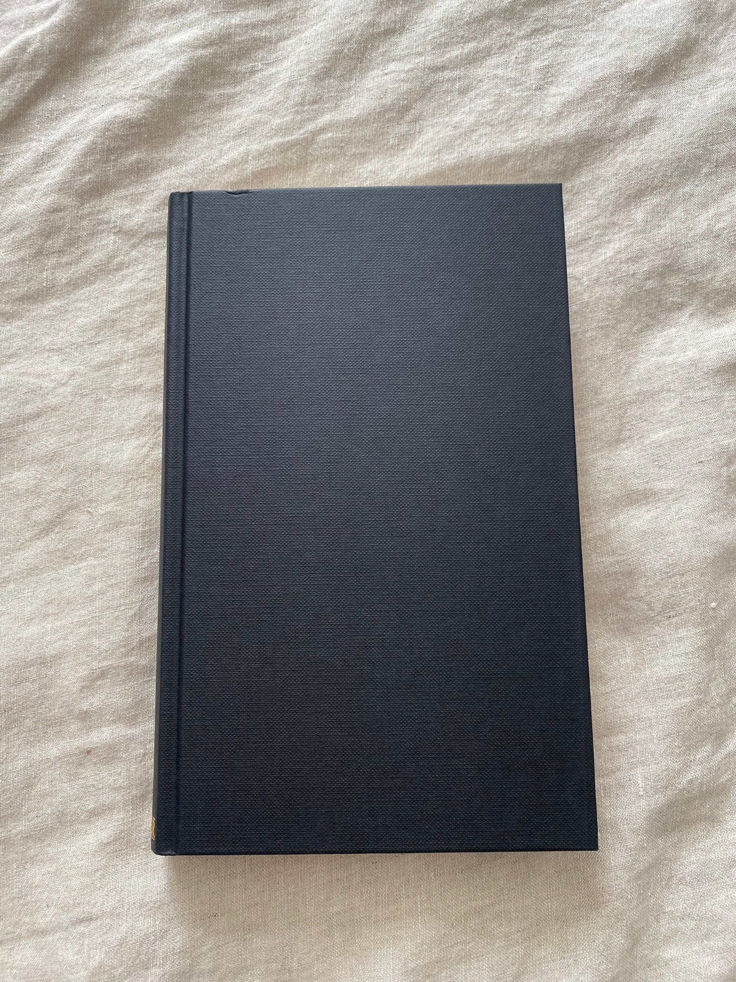 The Mexican Tree Duck (C.W. Sughrue Series #2)