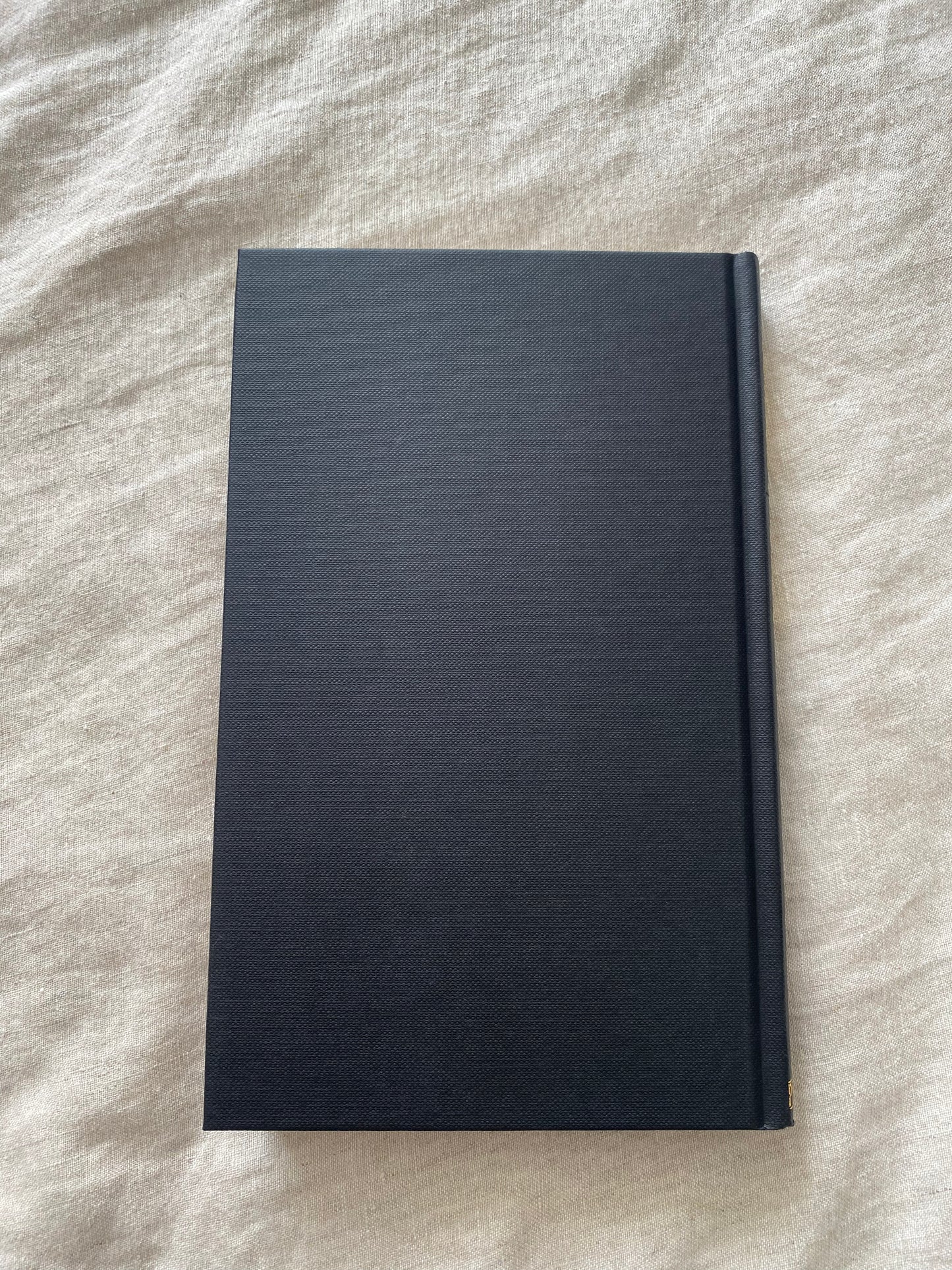 The Mexican Tree Duck (C.W. Sughrue Series #2)